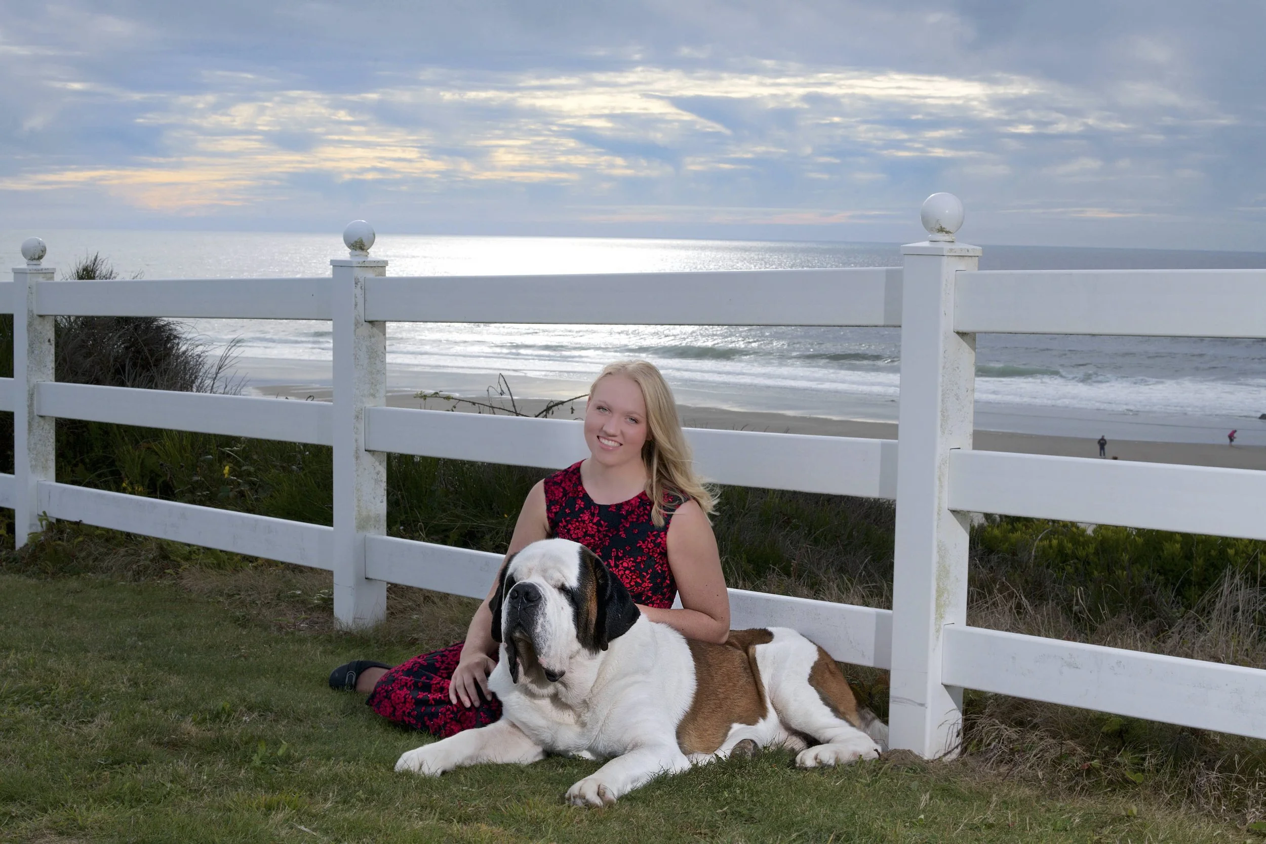 Fine art destination dog photography by Kansas City dog & pet photographer.