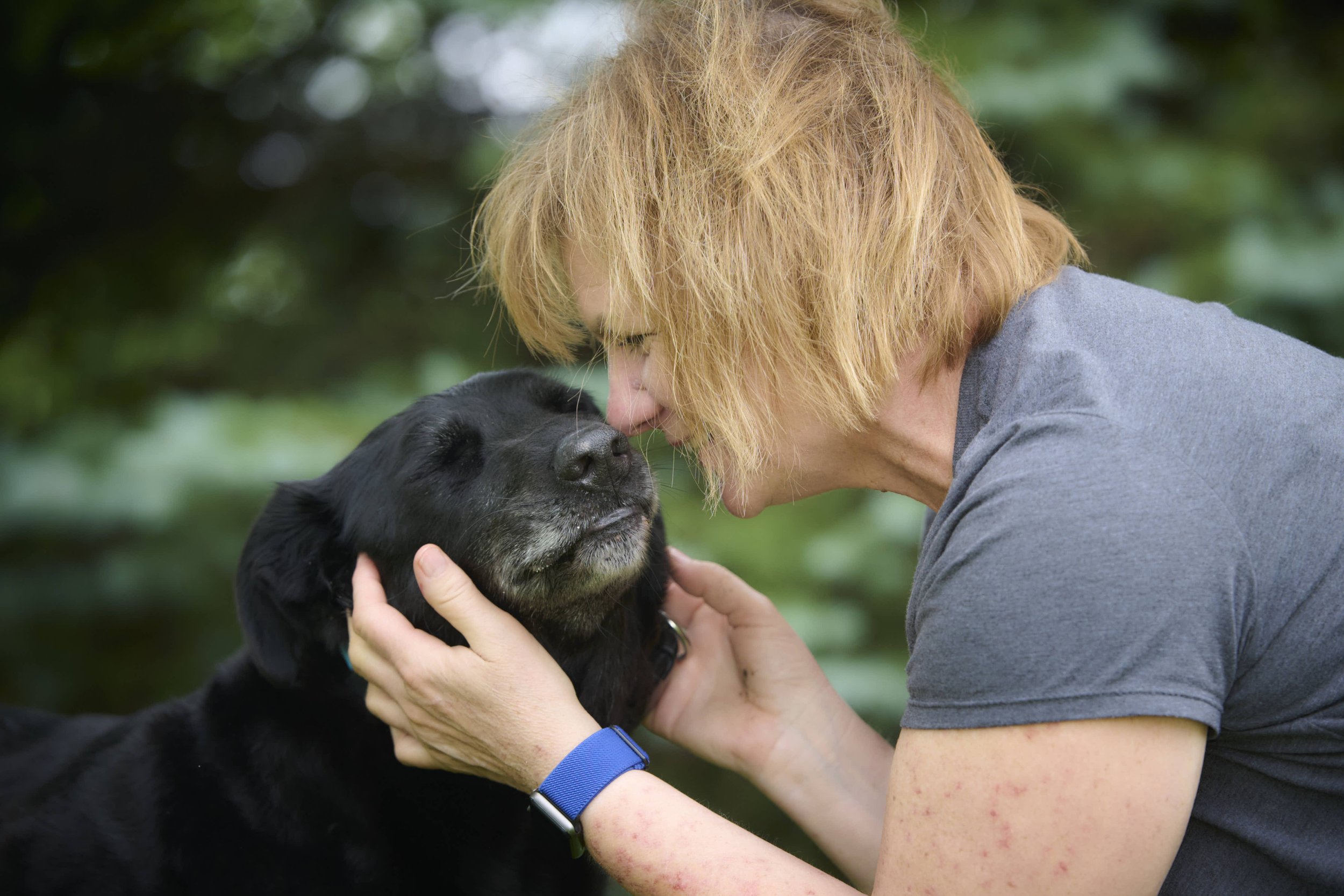 Senior Dog Milestone dog photography by Kansas City dog photographer Paws & Snap