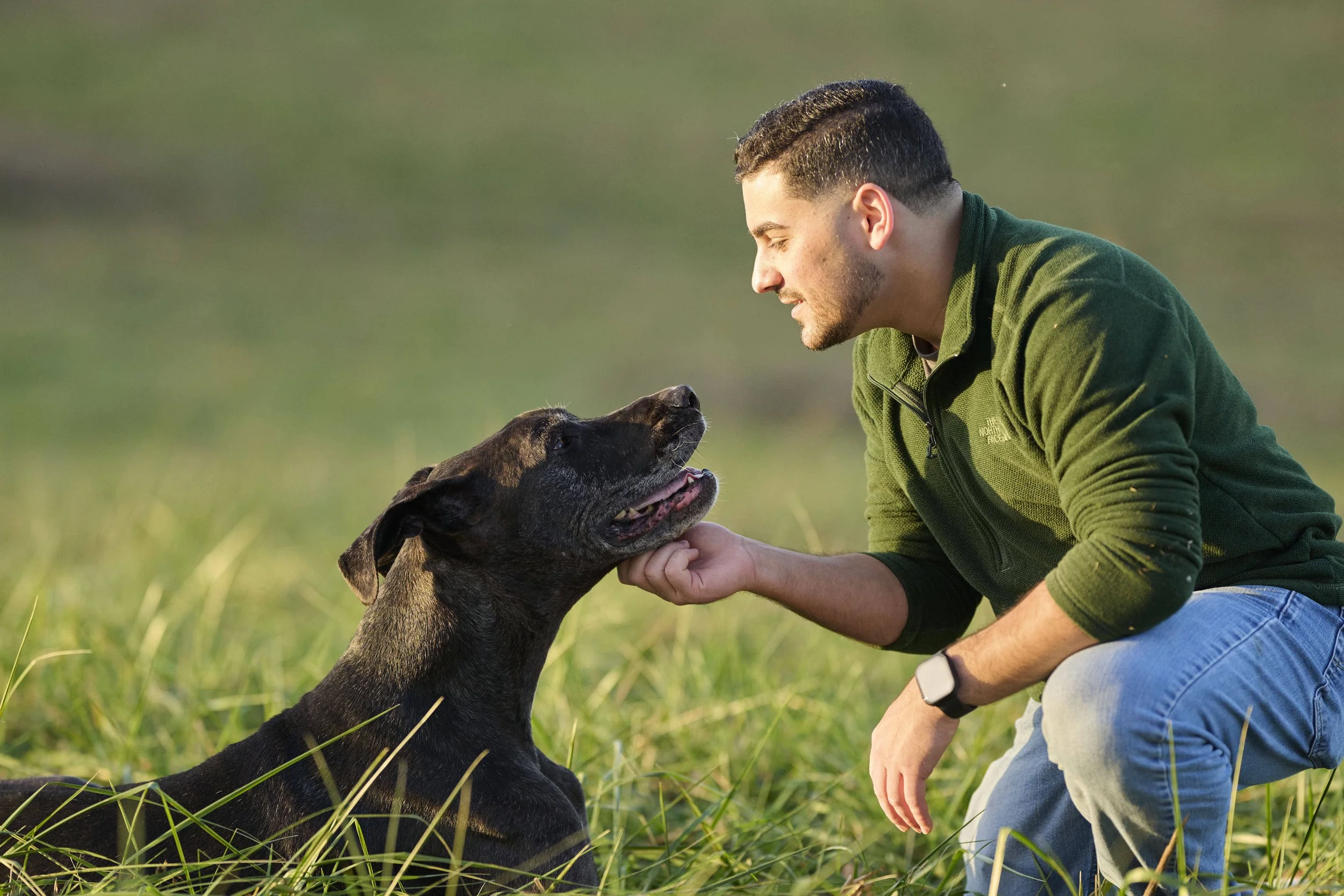 Fine art dog photography by Kansas City dog & pet photographer on 20-acre studio grounds.