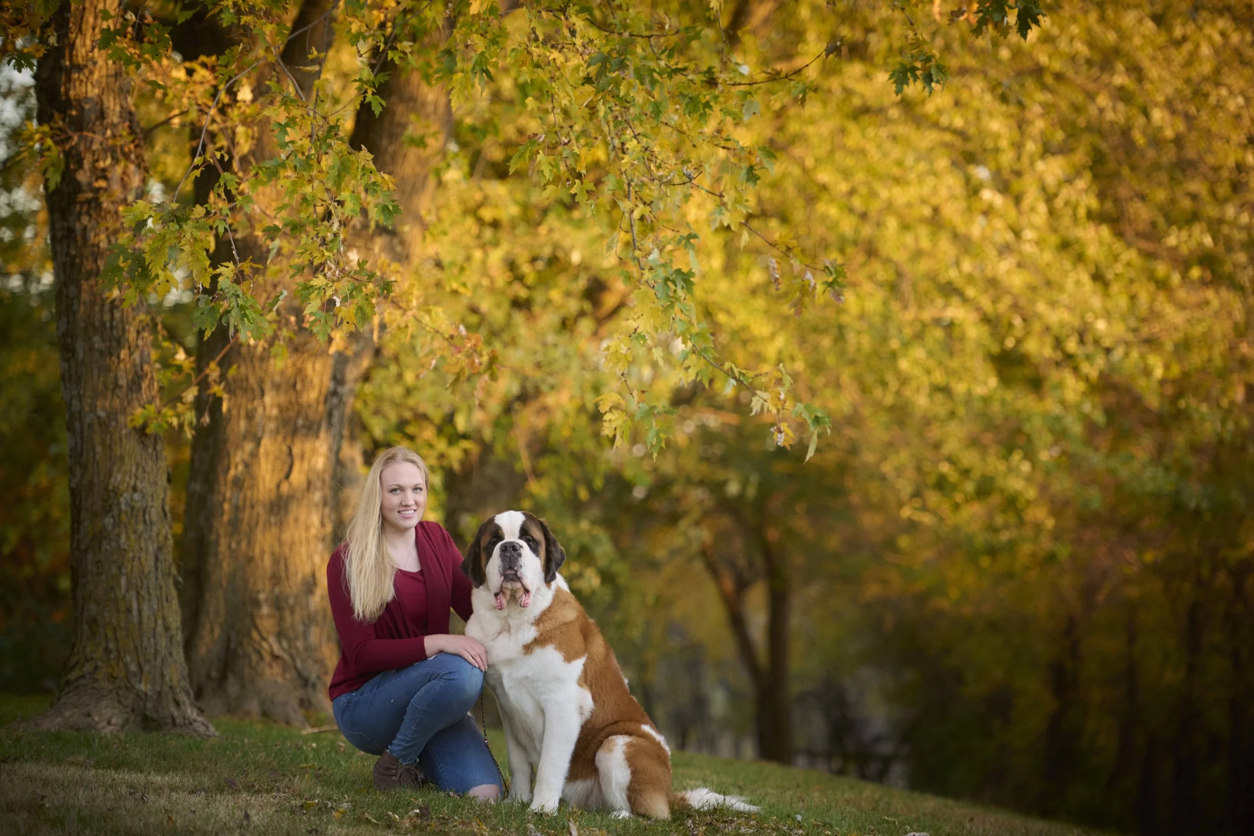 Fine art dog photography by Kansas City dog & pet photographer on 20-acre studio grounds.