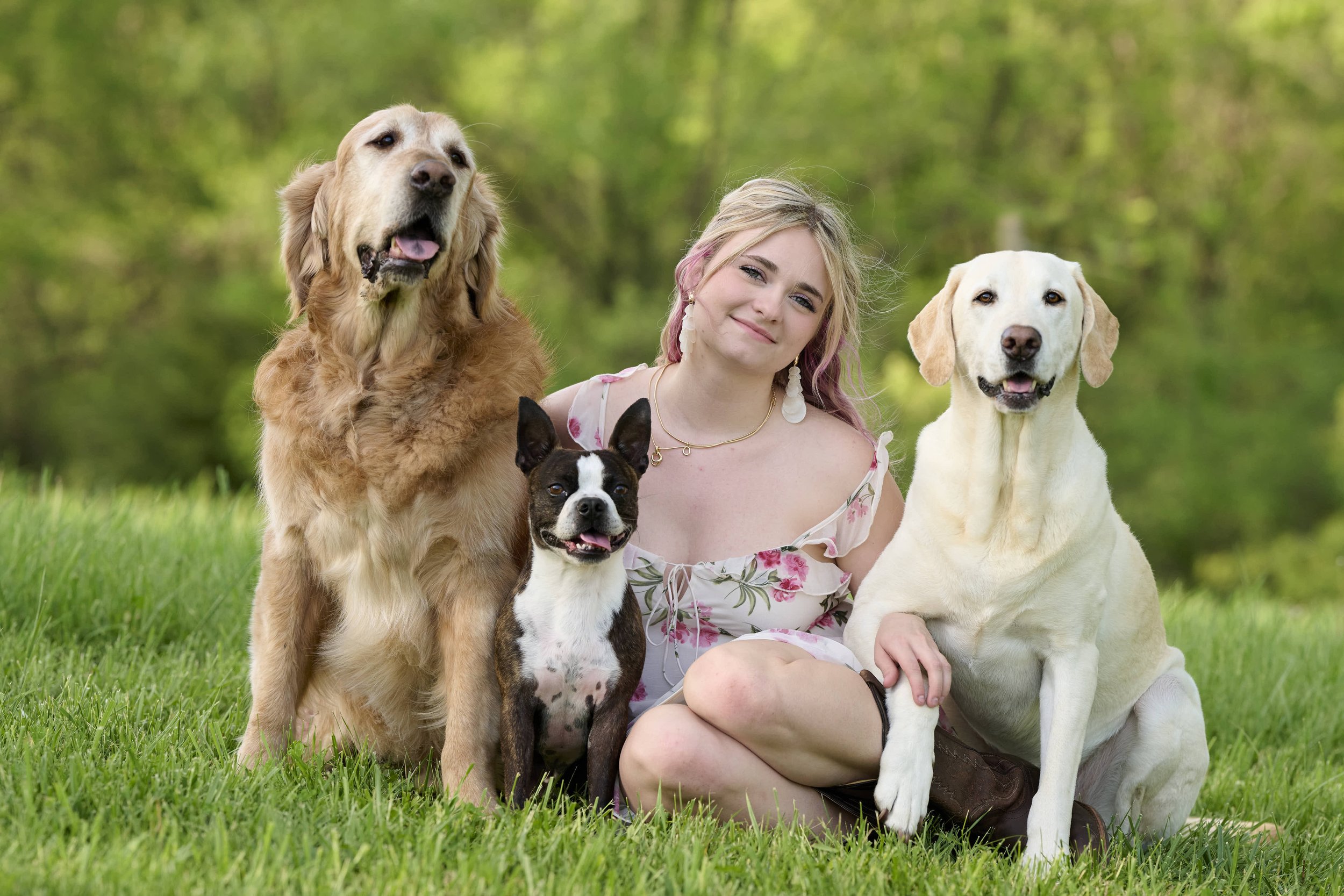 Fine art dog photography by Kansas City dog & pet photographer on 20-acre studio grounds.