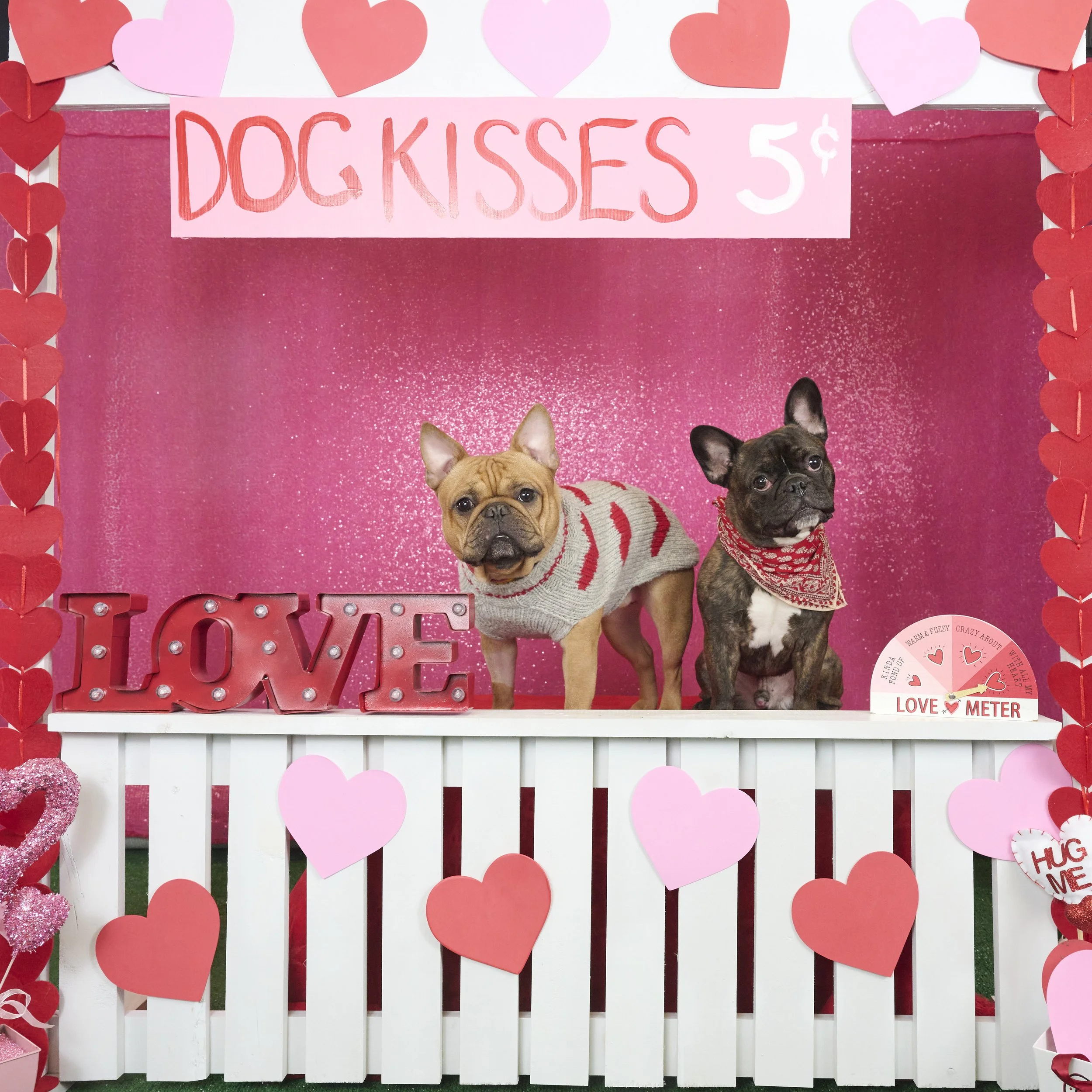 KC English Bull Dog Rescue Valentines Day Fundraiser 2023
