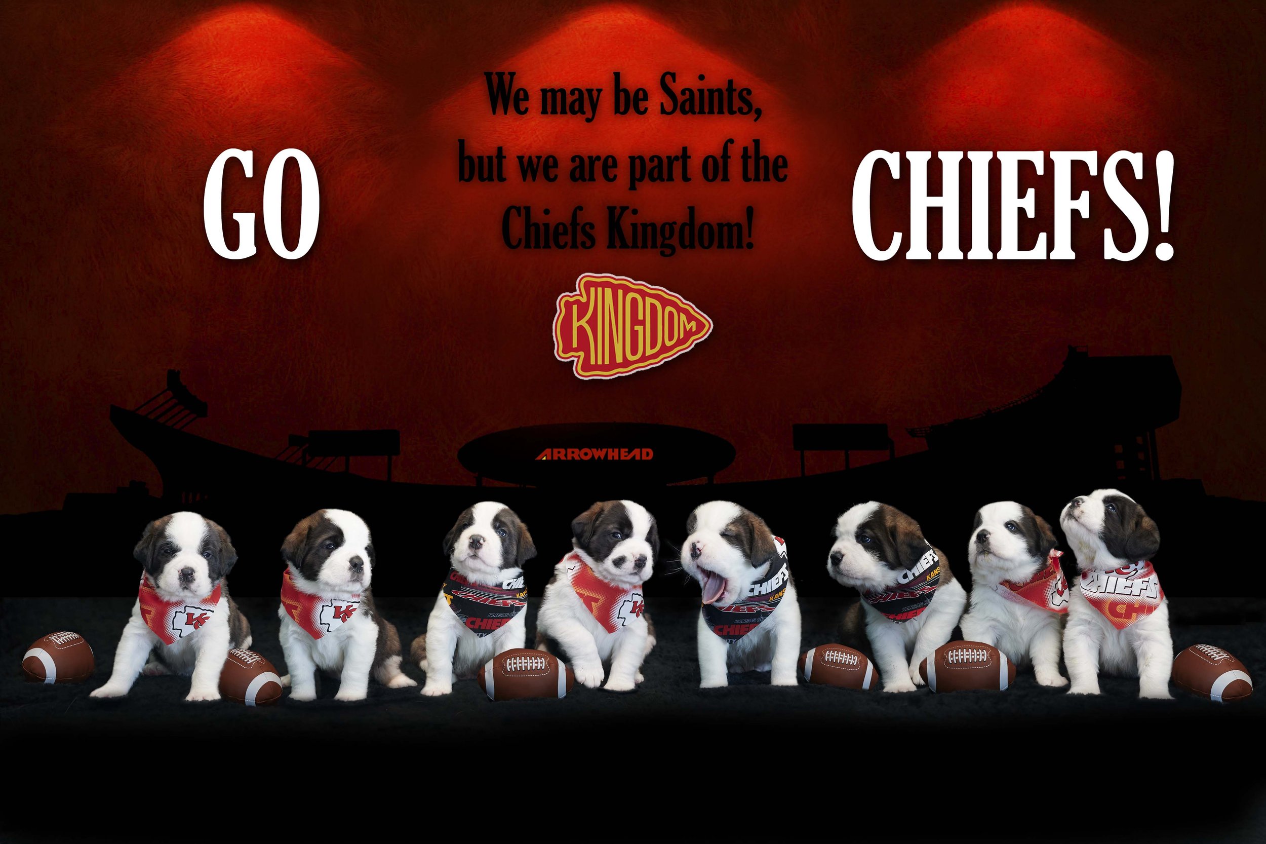 Superbowl Composite Dog Photography in the Northland by Paws & Snap.