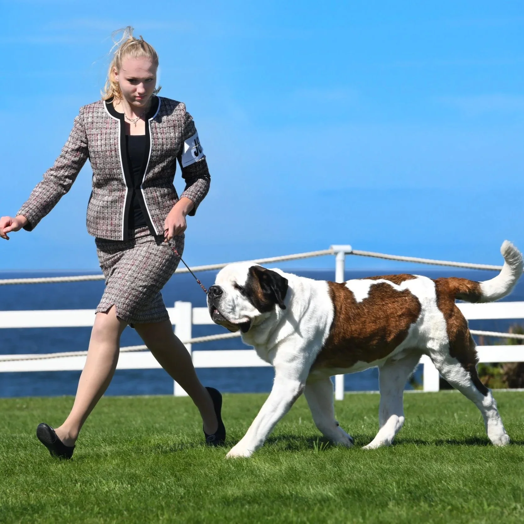 Fine art conformation dog photography by Kansas City dog & pet photographer.