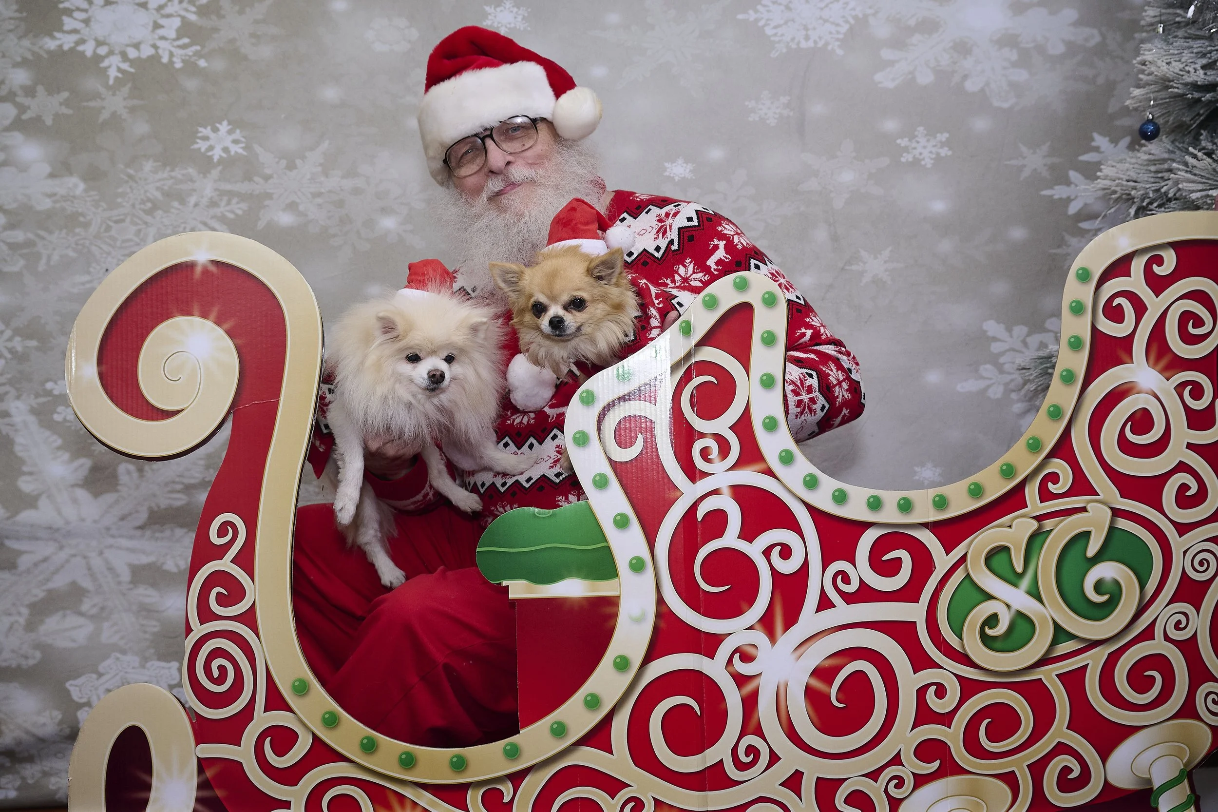 Saints of the West Holiday Photo Fundraiser 2022