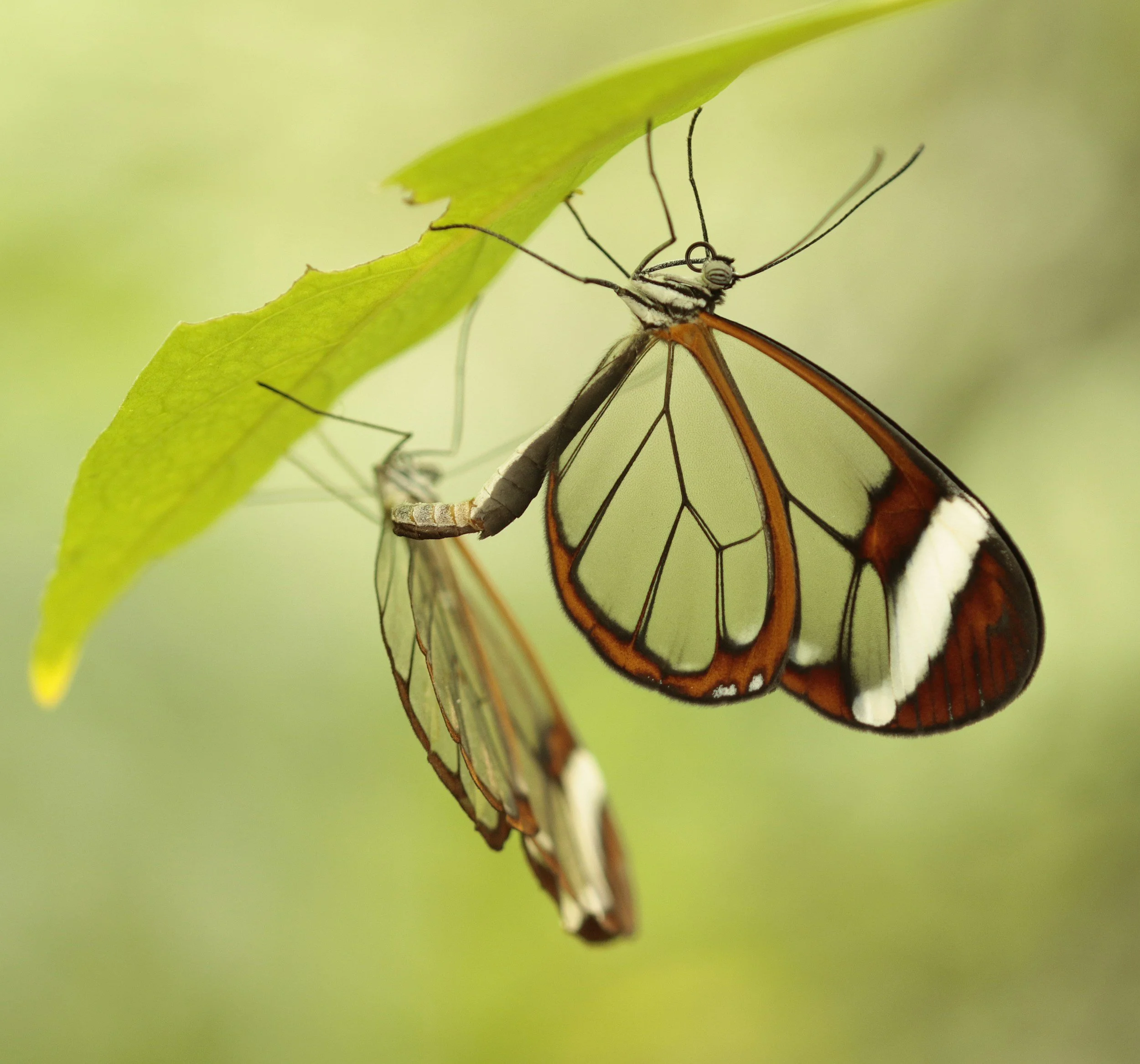 Anxiety and Life Changes