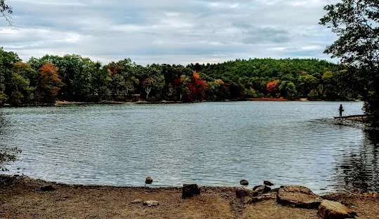 An image of Houghton's Pond.