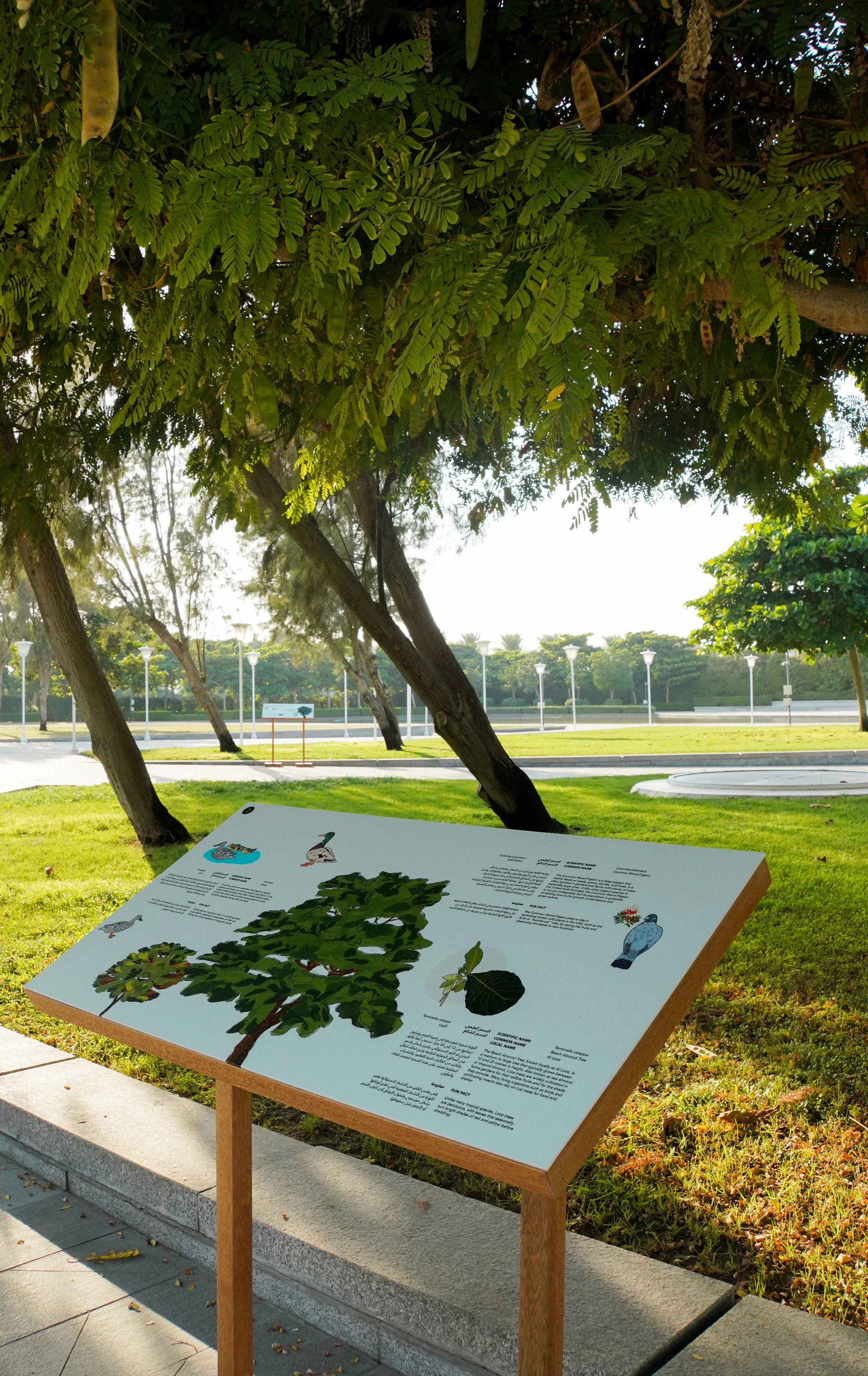 Etihad Museum | Garden Ecology Guide