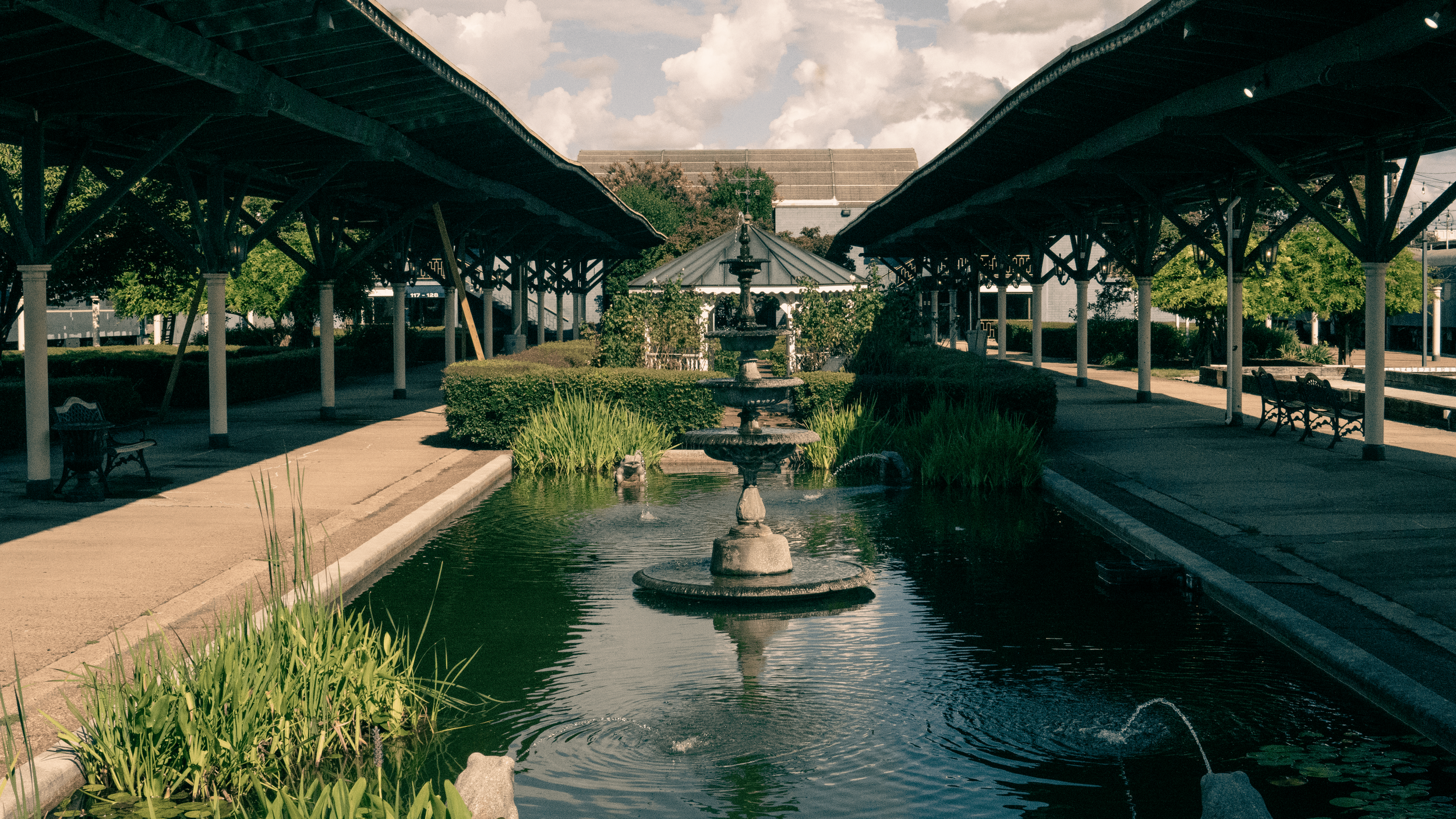 Photo by Jonathan Walker (Chattanooga, TN Choo Choo Area, Shot Aug. 2022)