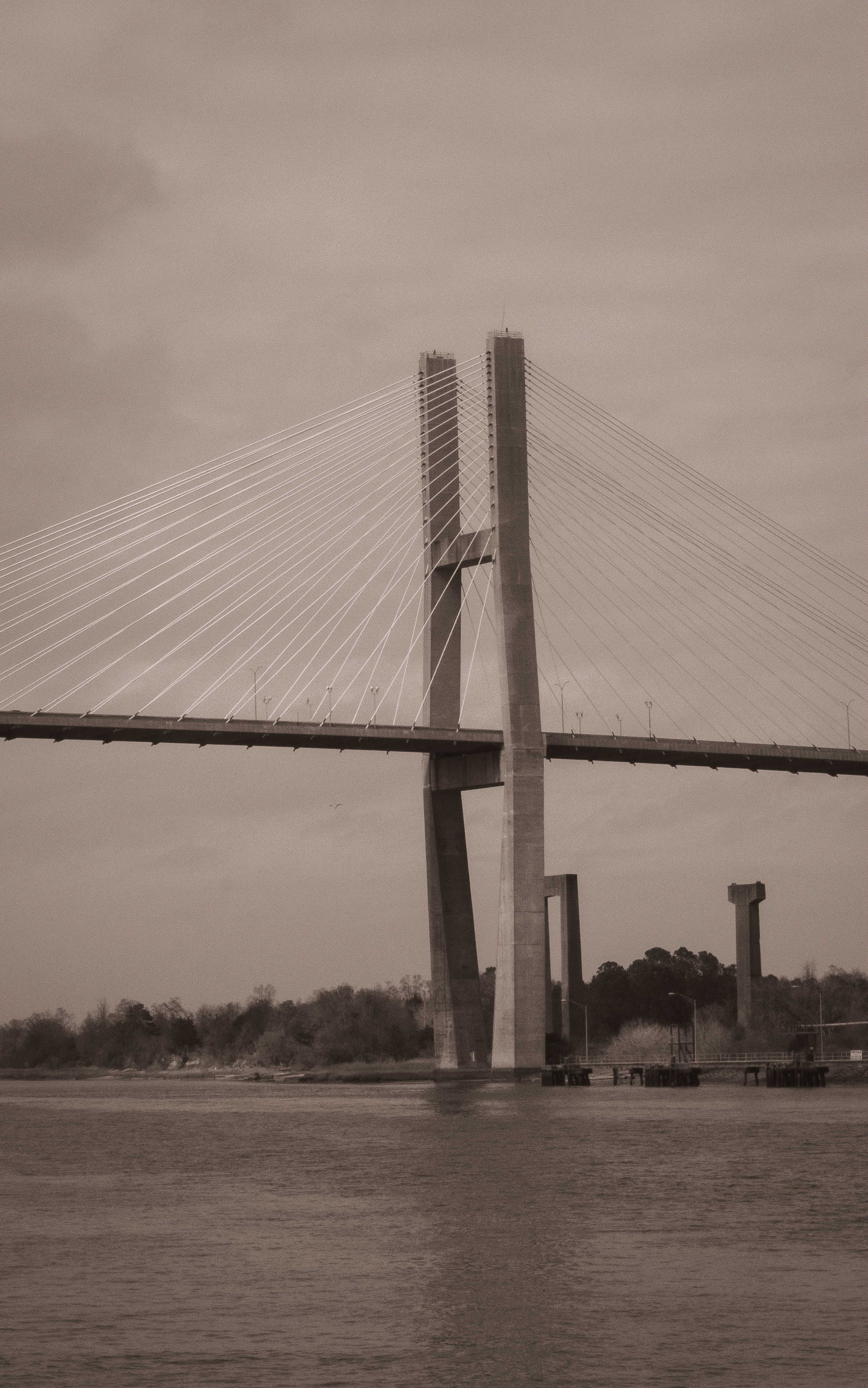 Photo by Jonathan Walker (Savannah, GA Pedestrian Bridge, Shot 2023)