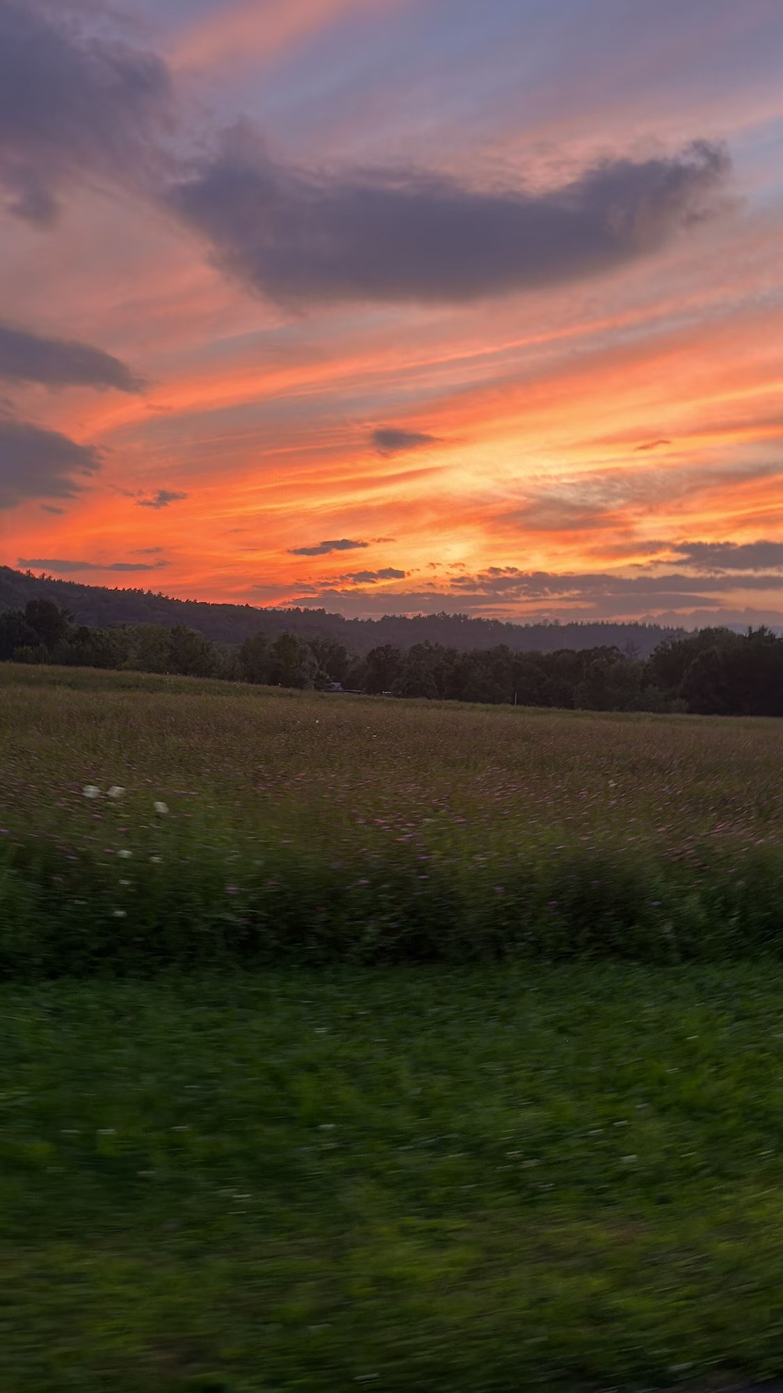 enjoy the most beautiful sunsets