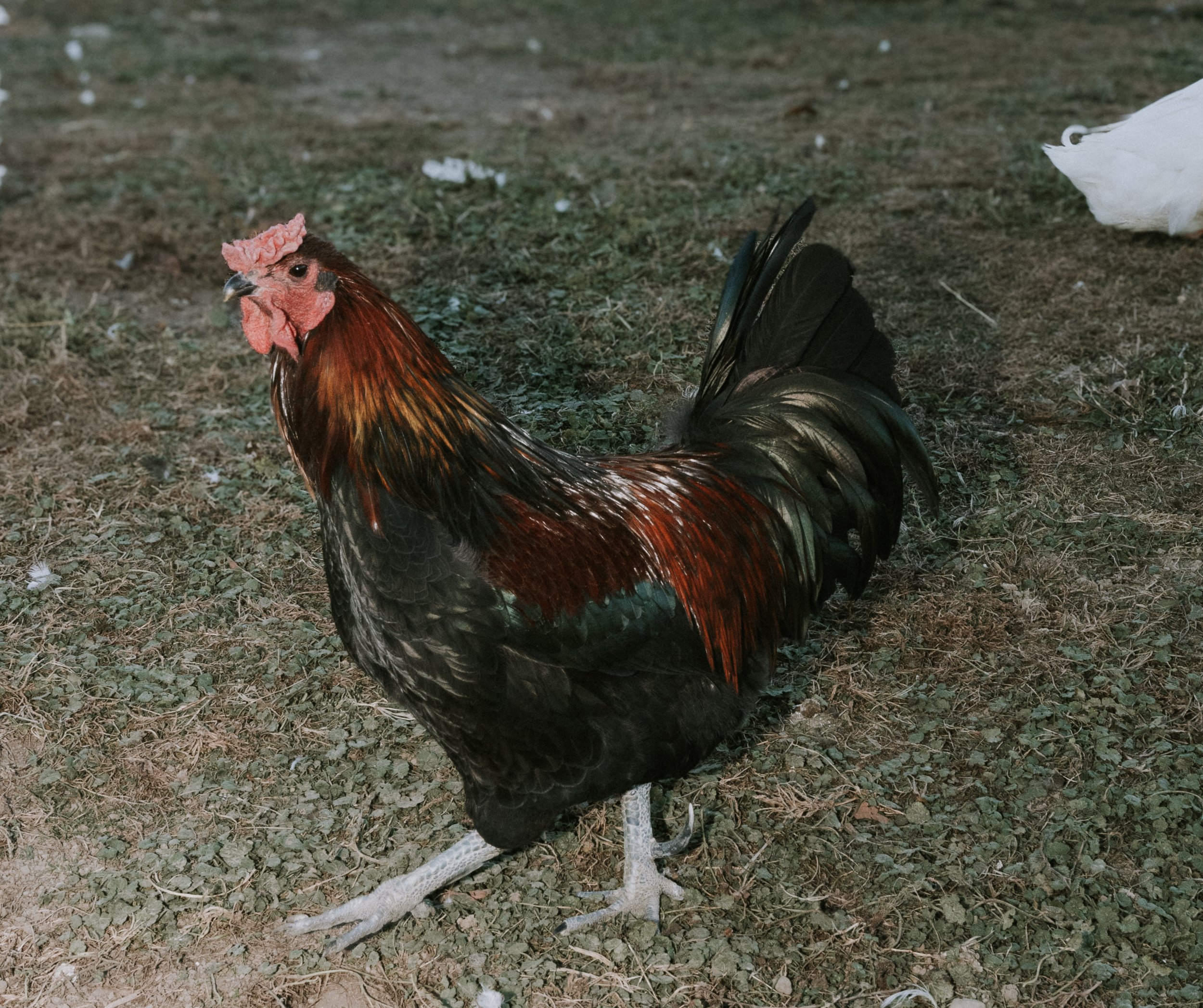 3V0A6536.jpg