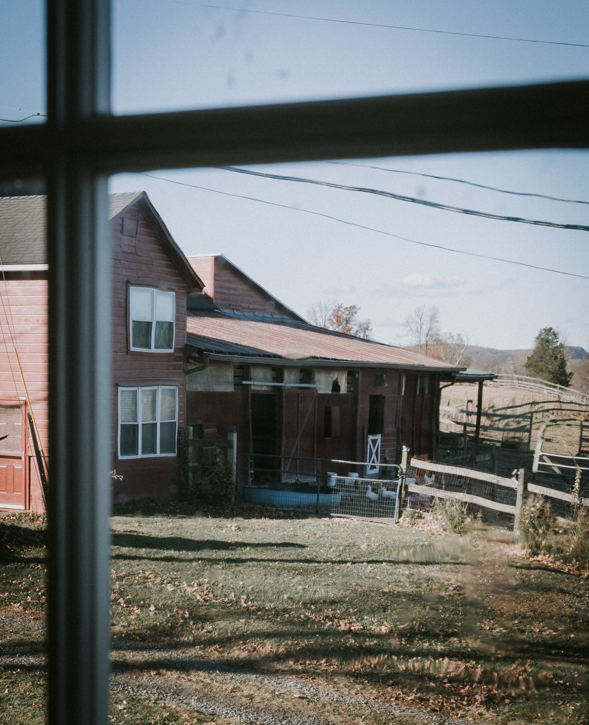 3V0A6250.jpg