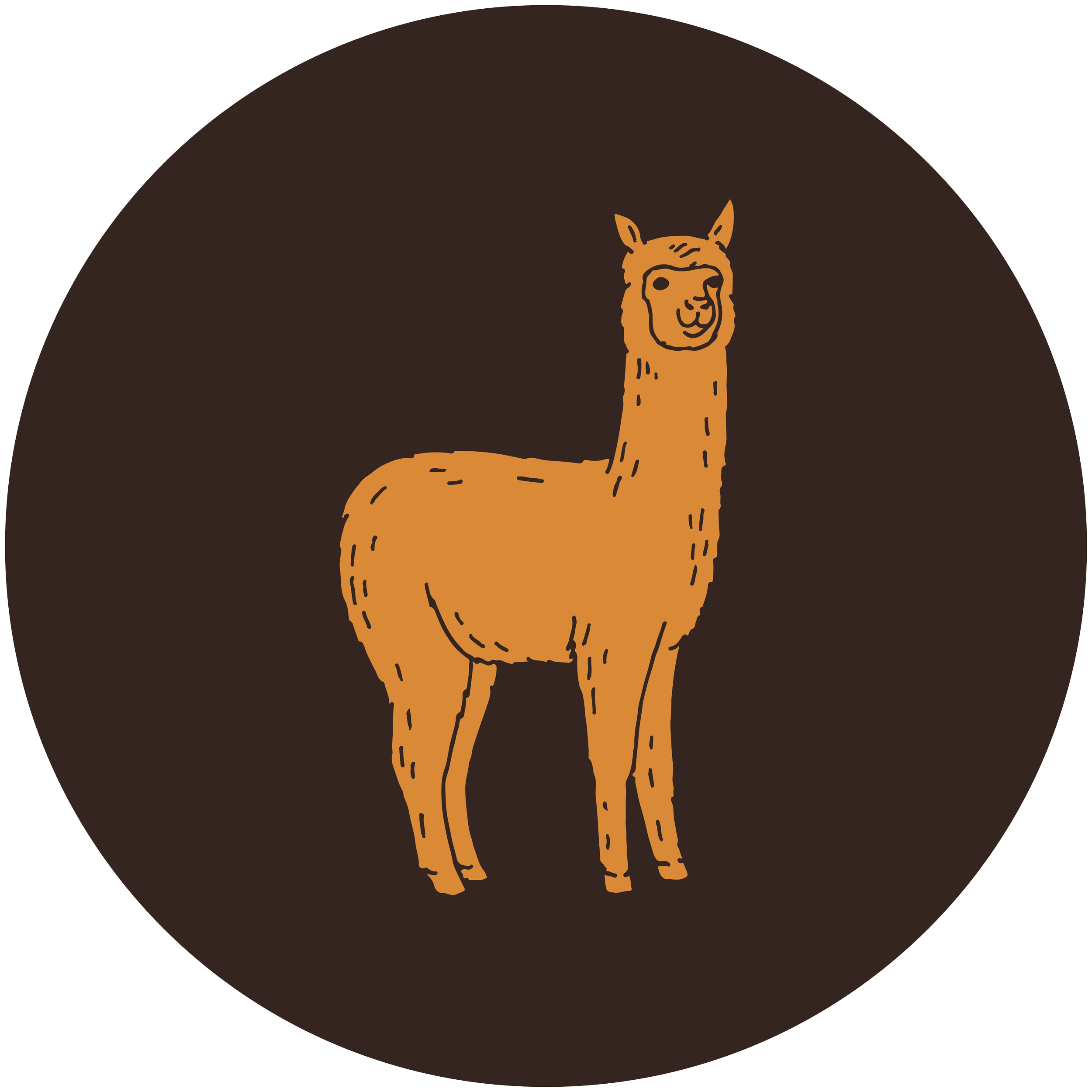 THA-Alpaca_Brown-circle.png