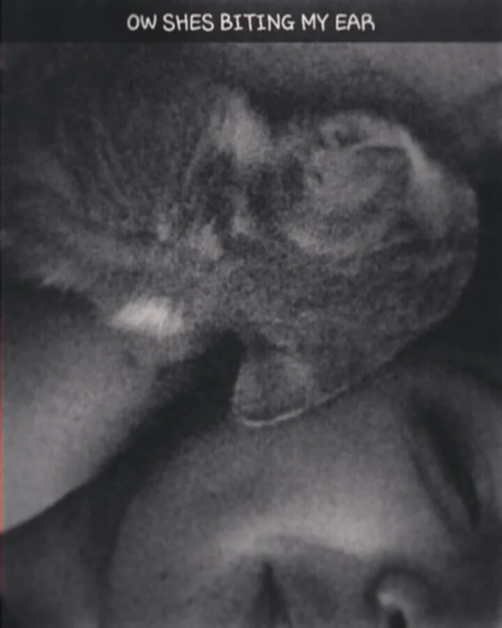 #kitty #kitten #kittycat