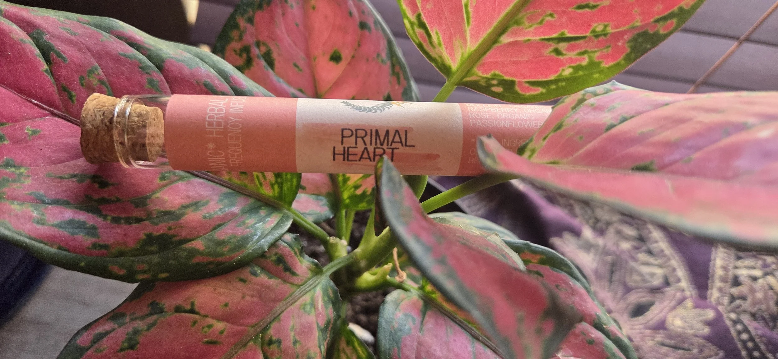 Primal Heart - Herbal Rollie