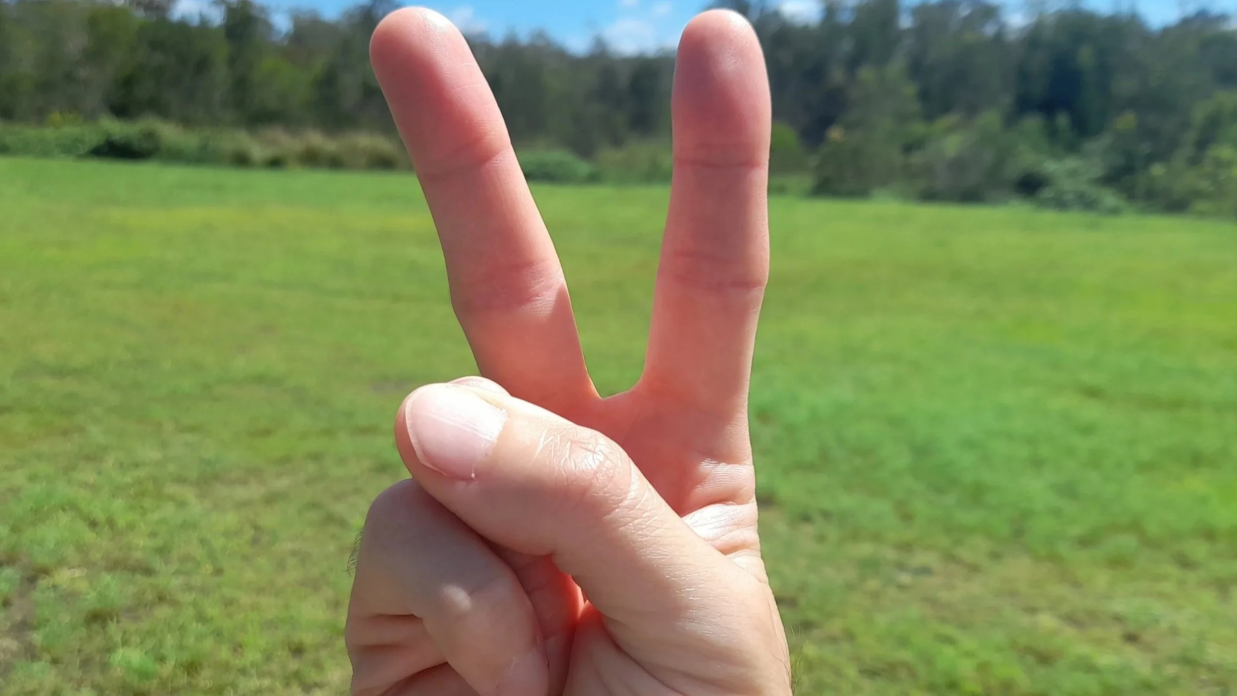 2nd Sunday after Easter - 12 April 2026