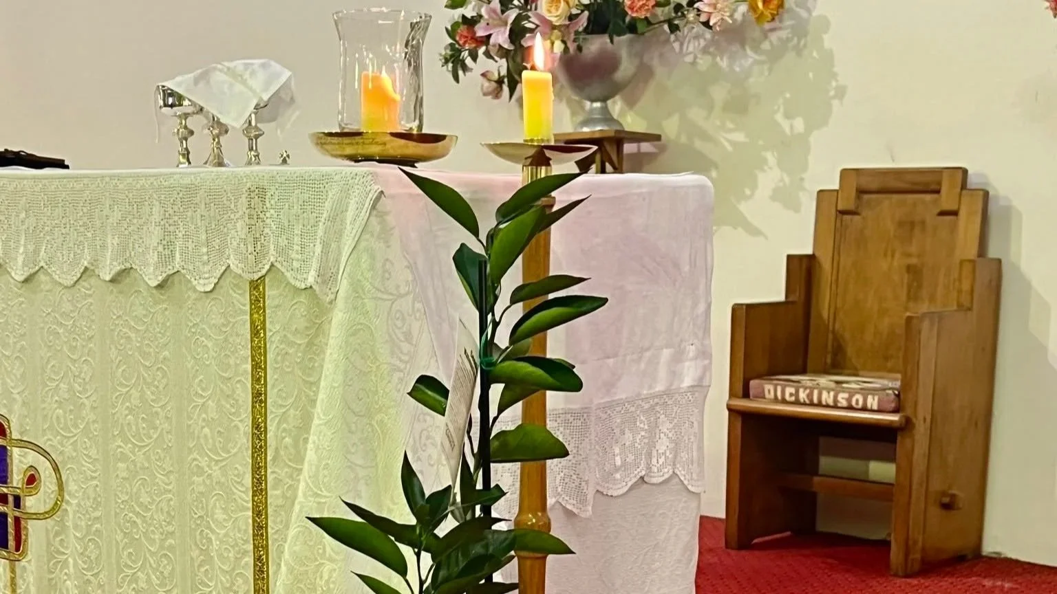 3rd Sunday after Pentecost - 14 June 2026