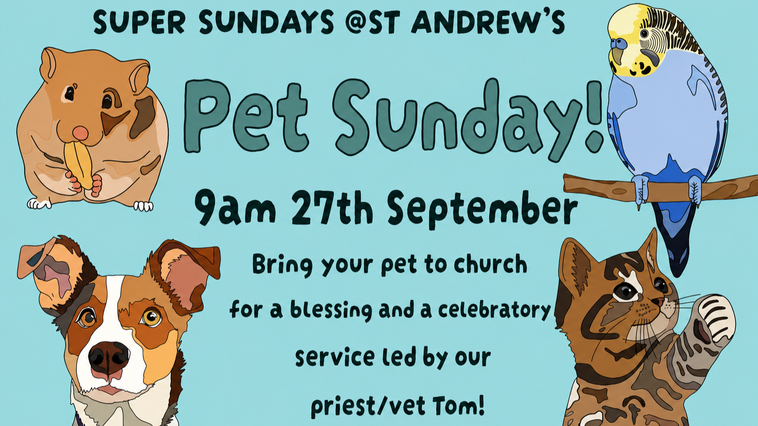 Super Sunday Pet Sunday