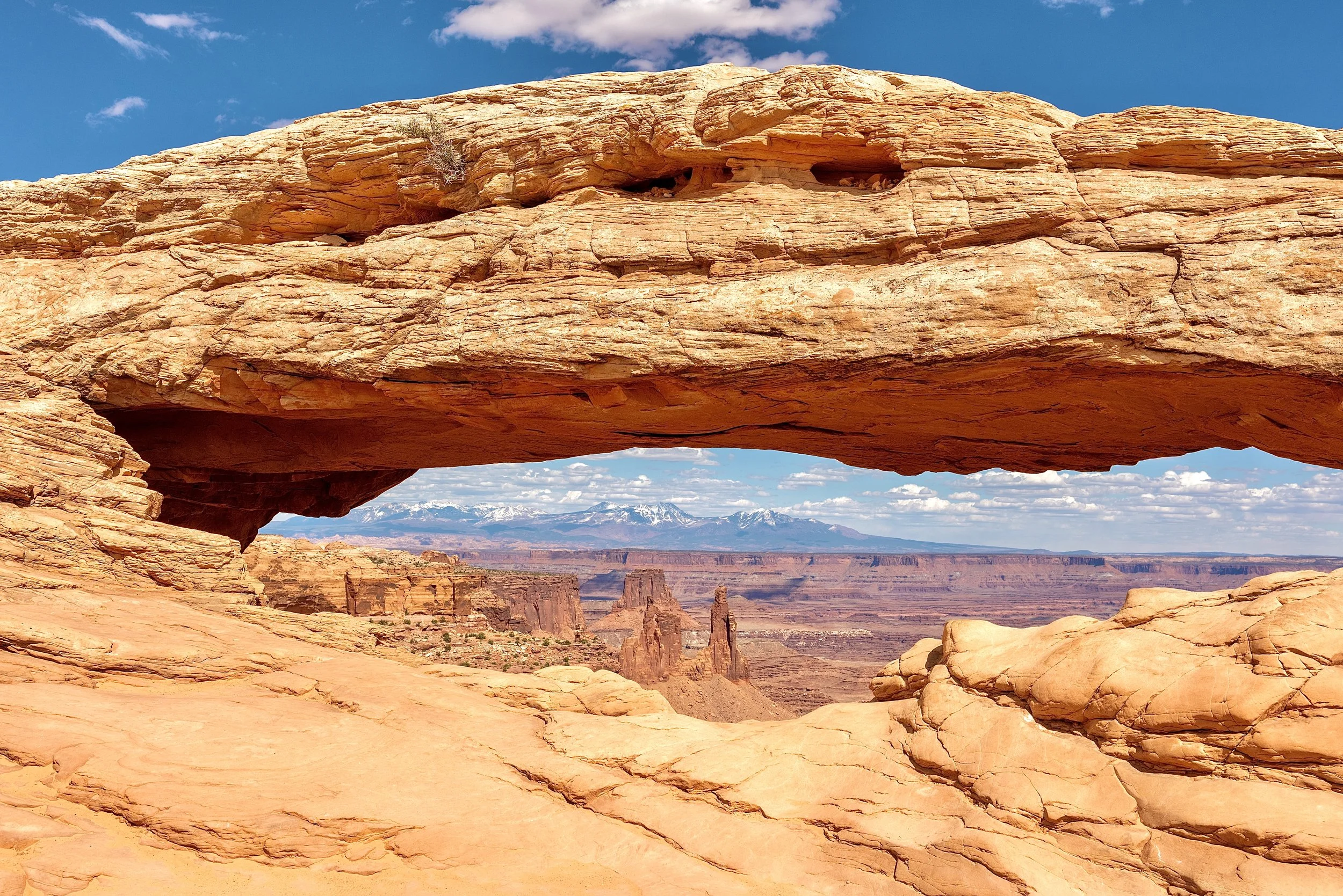 Mesa Arch Day