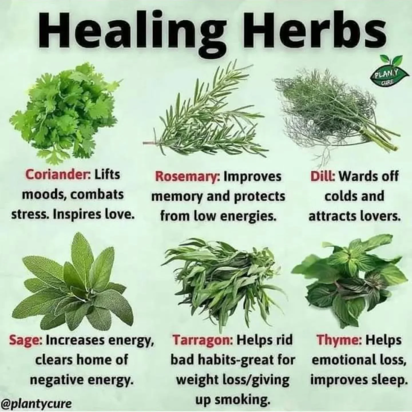 As we are approaching Thanksgiving and the food that comes with it, here is a lovely reminder to the herbs that can bring what you need. The phrase &quot;made with love&quot; is absolutely accurate, and the phrase &quot;made with intention&quot; need