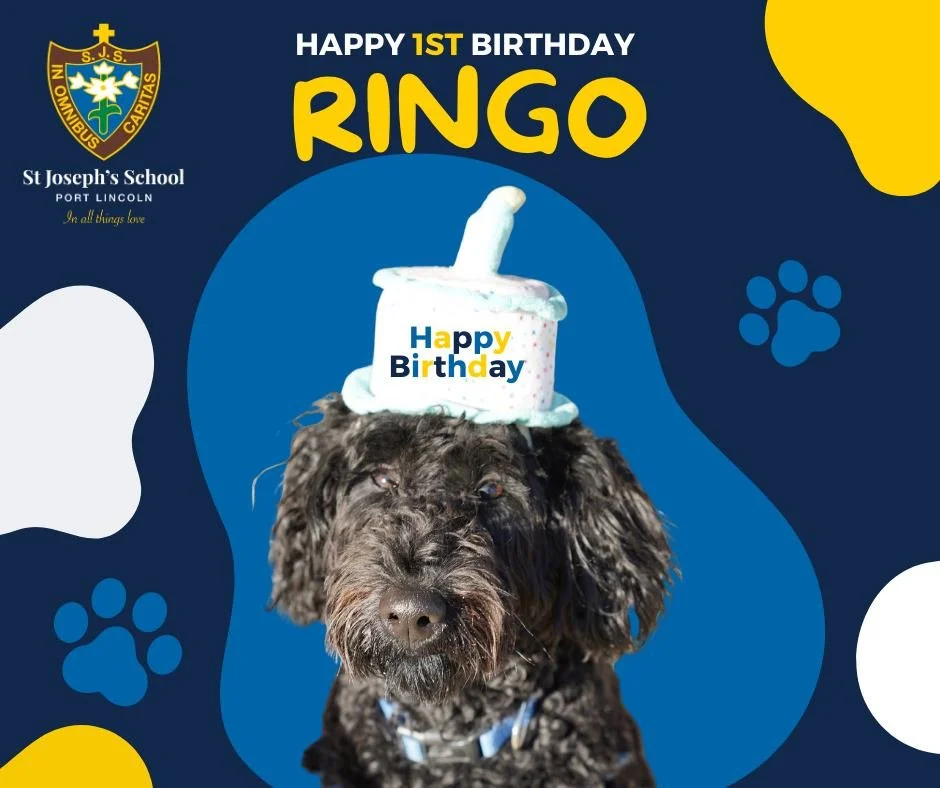 Ringo St Joseph's School Pt Lincoln.jpeg