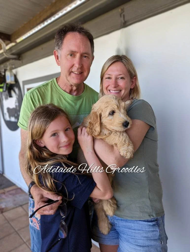 Brownie and Family.jpeg