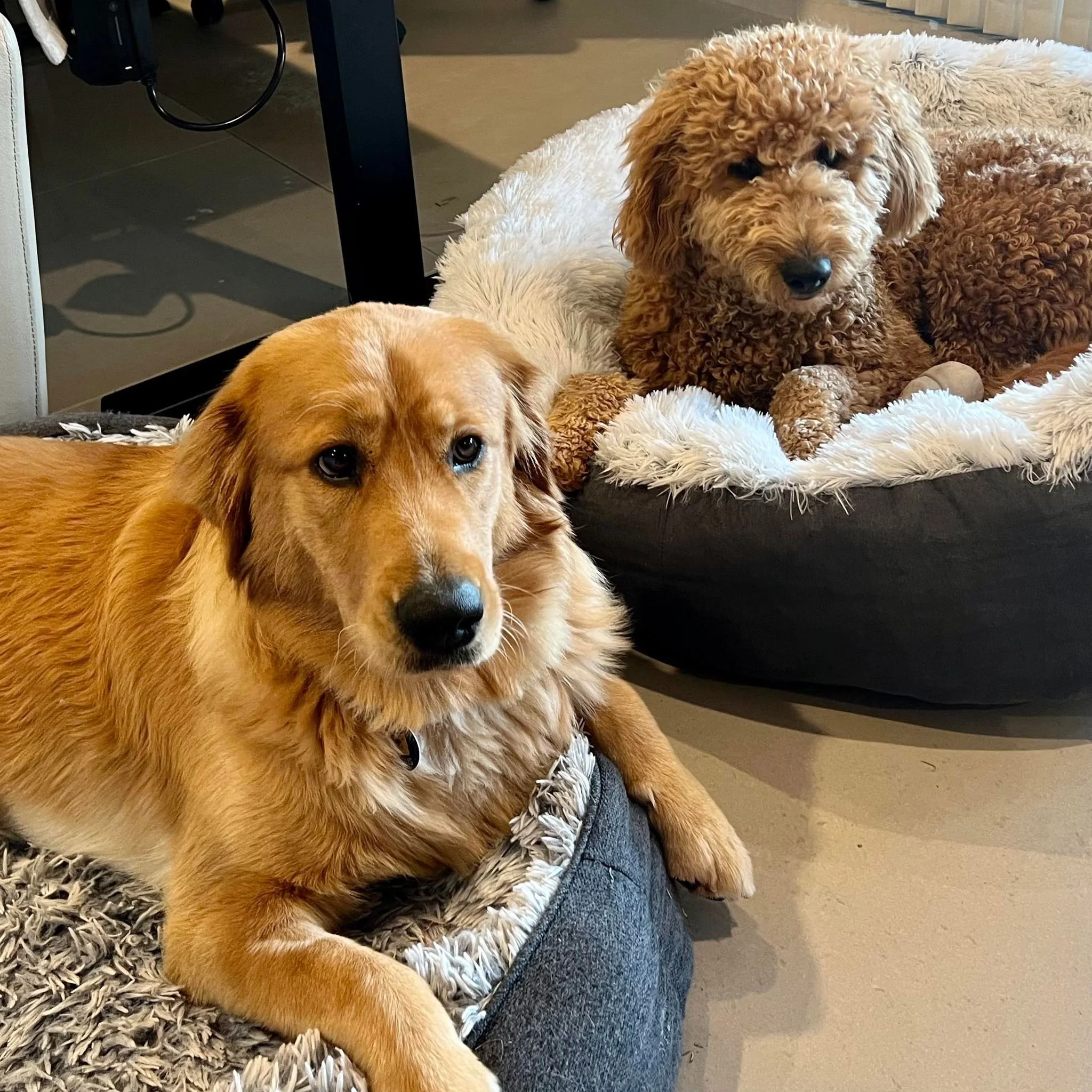 Waffles and Pancakes.jpeg