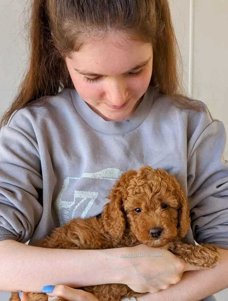 Millie and Snicket.jpeg