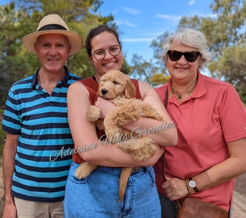 Mabel collection.jpeg