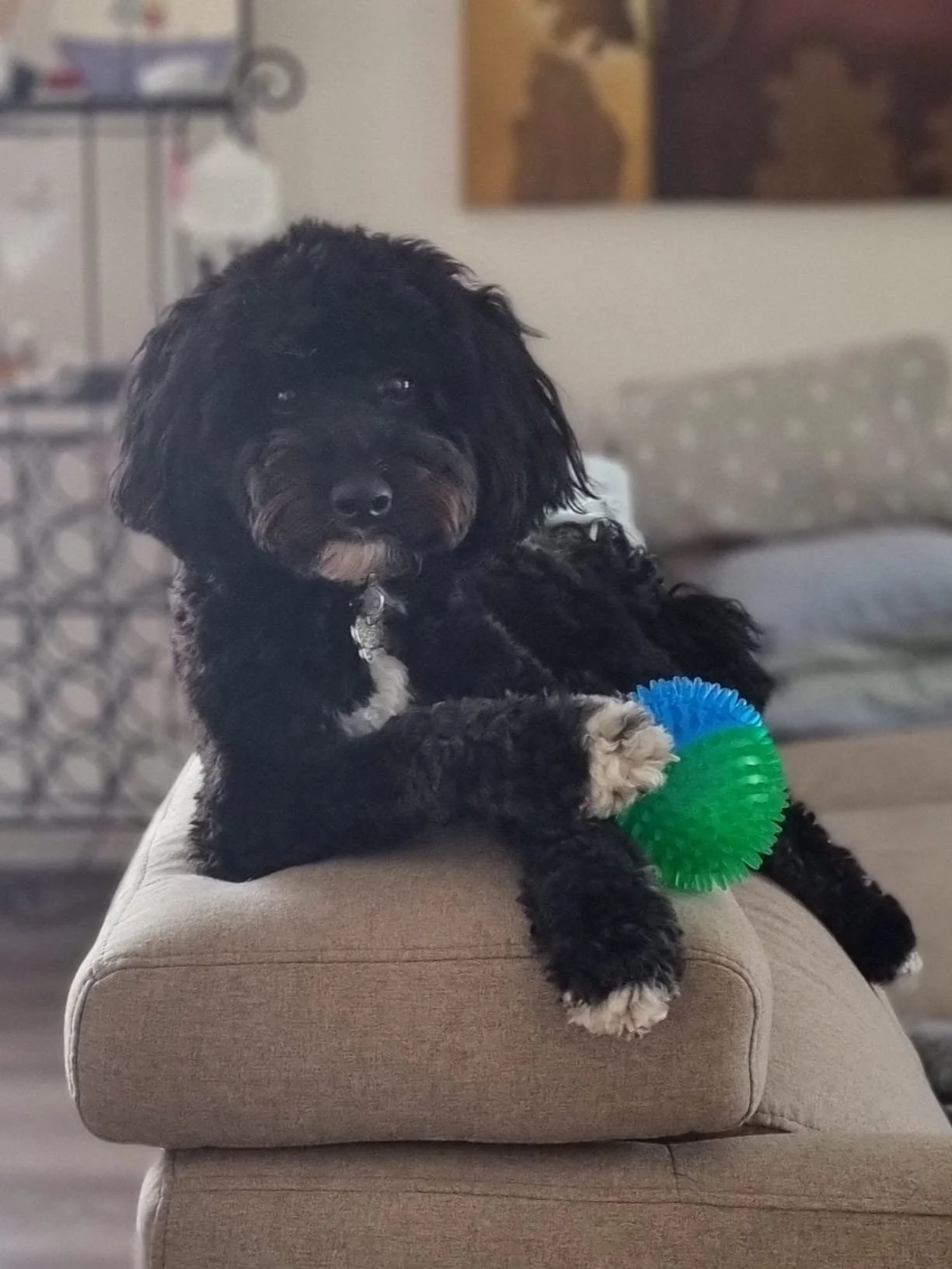 Gilbert Tinder Ad.jpeg