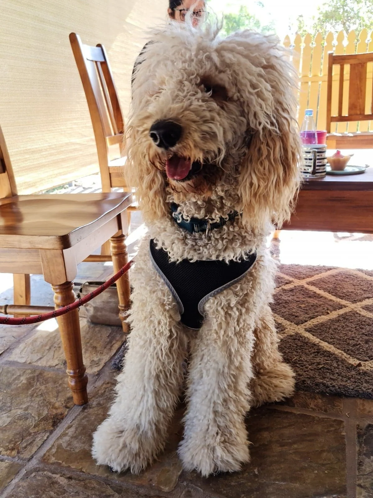 Harry in Riverton.jpeg