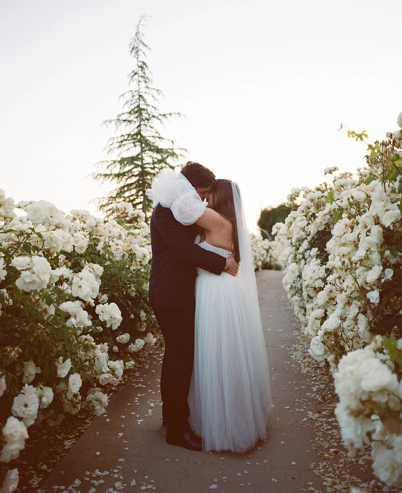 The bride and groom embrace in a tender moment, surrounded by white roses in a romantic garden at Serendipity Garden Weddings.
