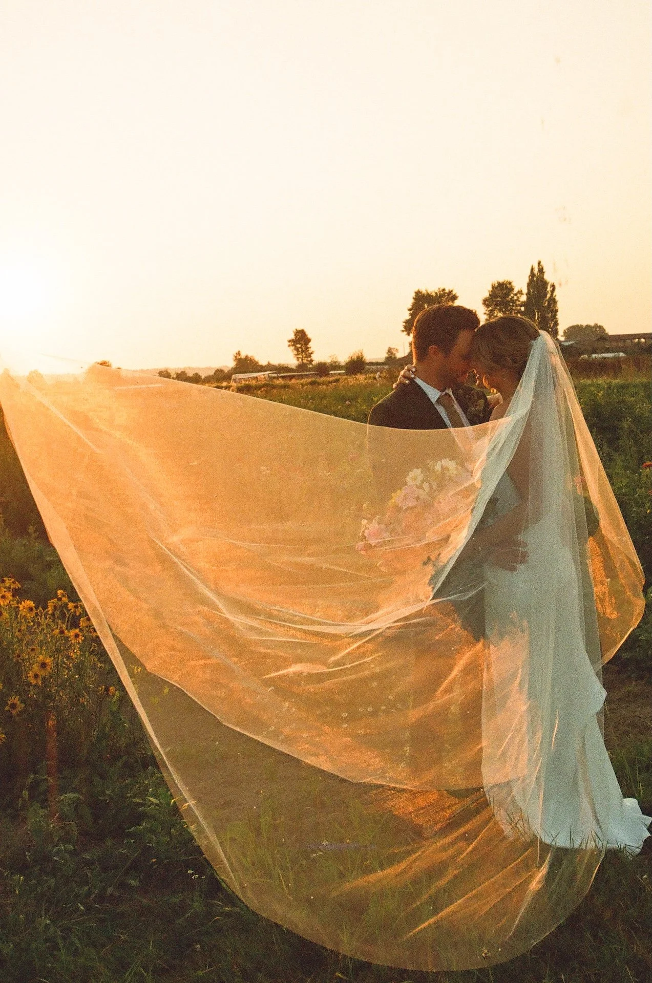 Bride and groom kiss in a field as the bride’s long veil floats in the golden evening light at their garden party wedding.