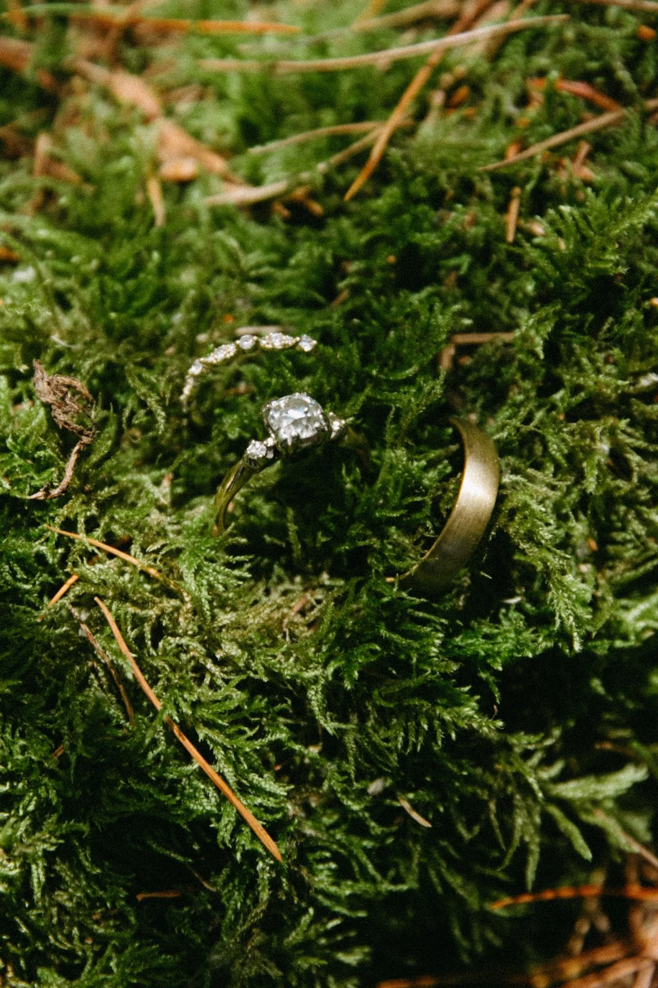 Wedding rings rest on a bed of moss, including a diamond engagement ring and simple gold band.