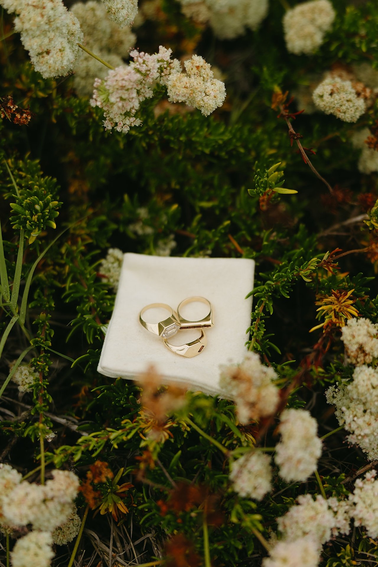A detail shot of the bride and grooms wedding rings resting on a napkin in a patch of flowers on the beach