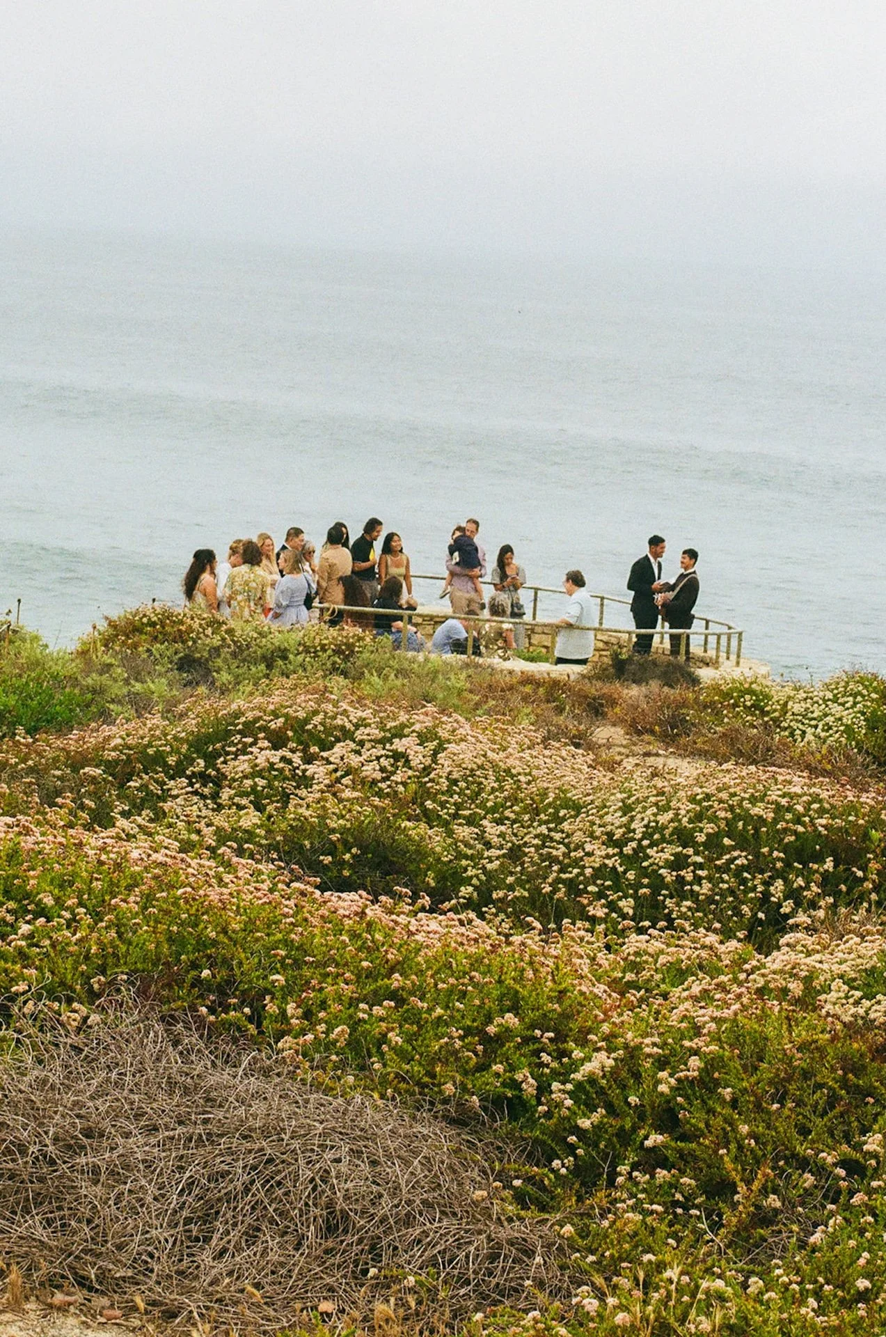 A shot from far away of the wedding guests and bride and groom