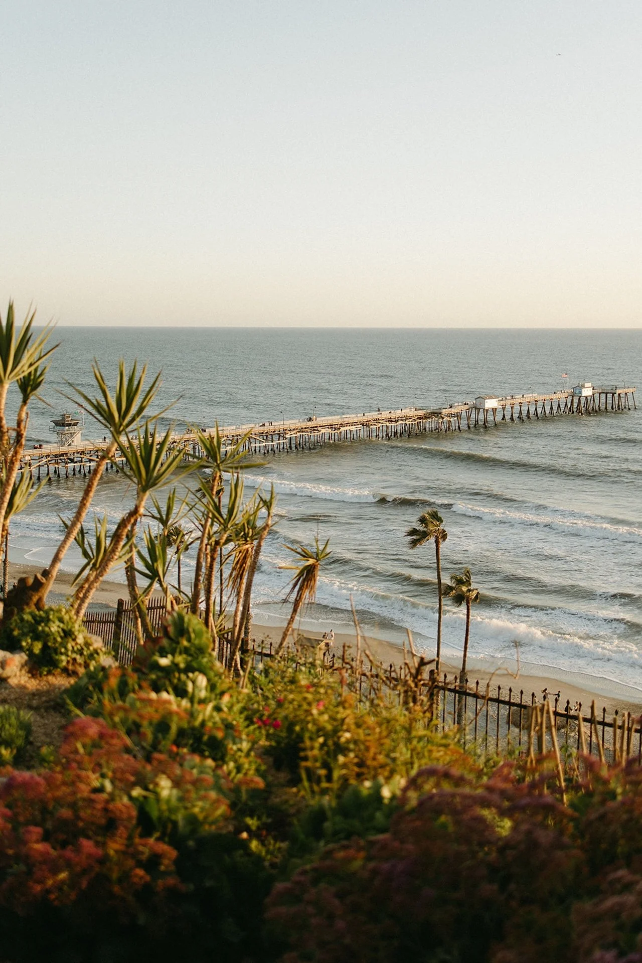 Wide coastal view of the San Clemente Pier, ocean waves, palm trees, and golden hour light surrounding the ceremony location.