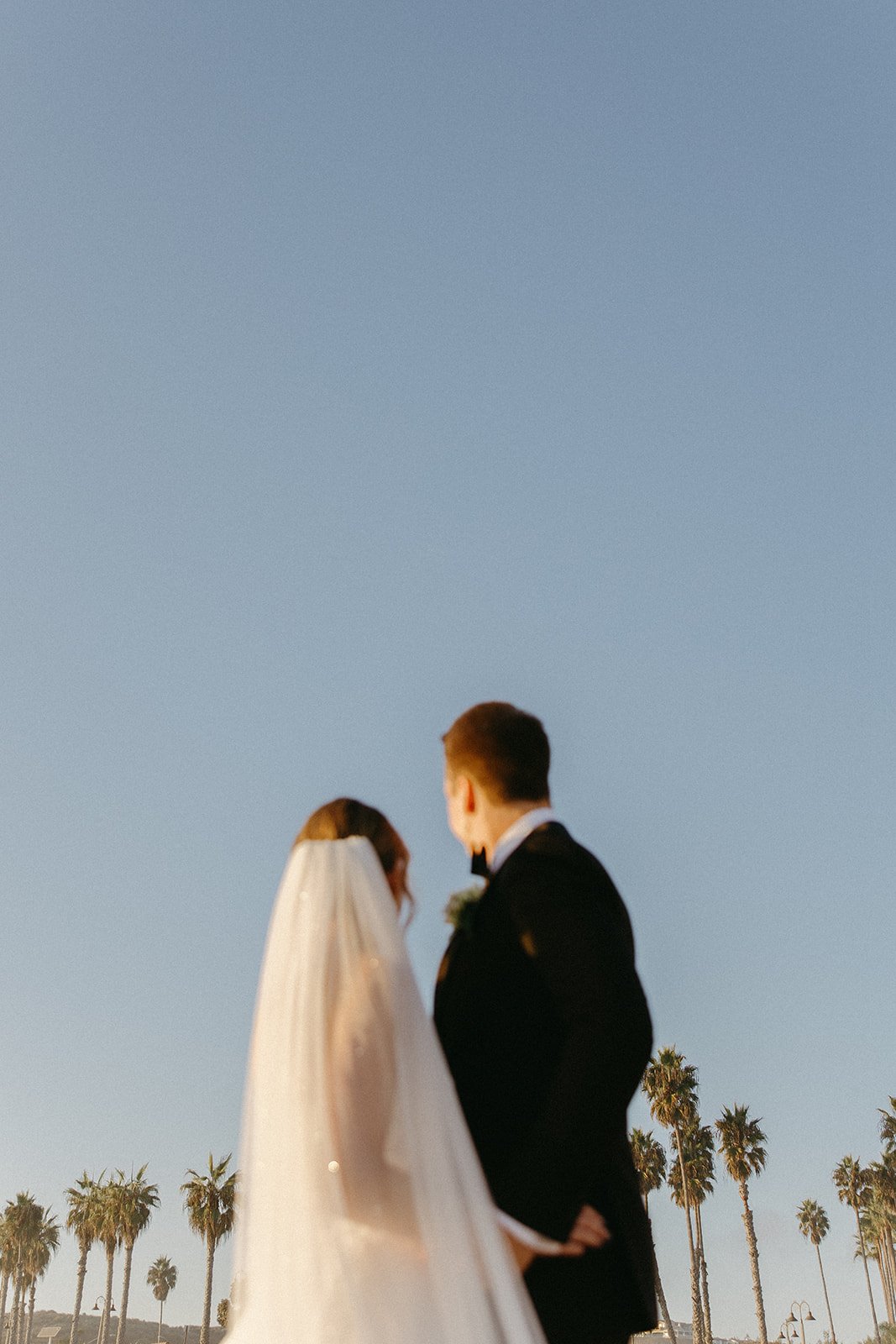 Bride and groom standing together beneath palm trees, looking out toward the ocean during sunset portraits.