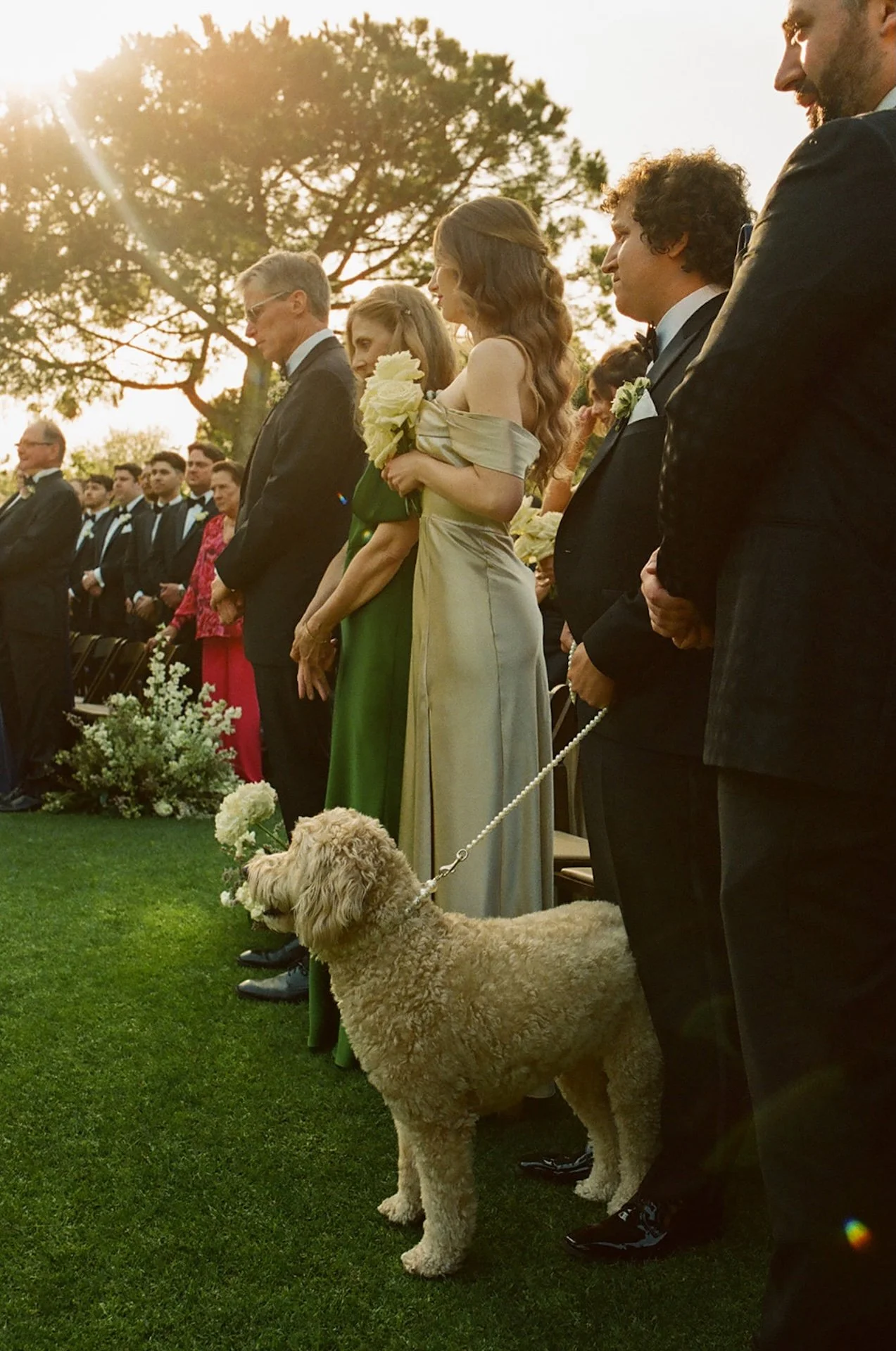 Wedding guests standing during the outdoor ceremony as the wedding party looks on beneath warm evening light.