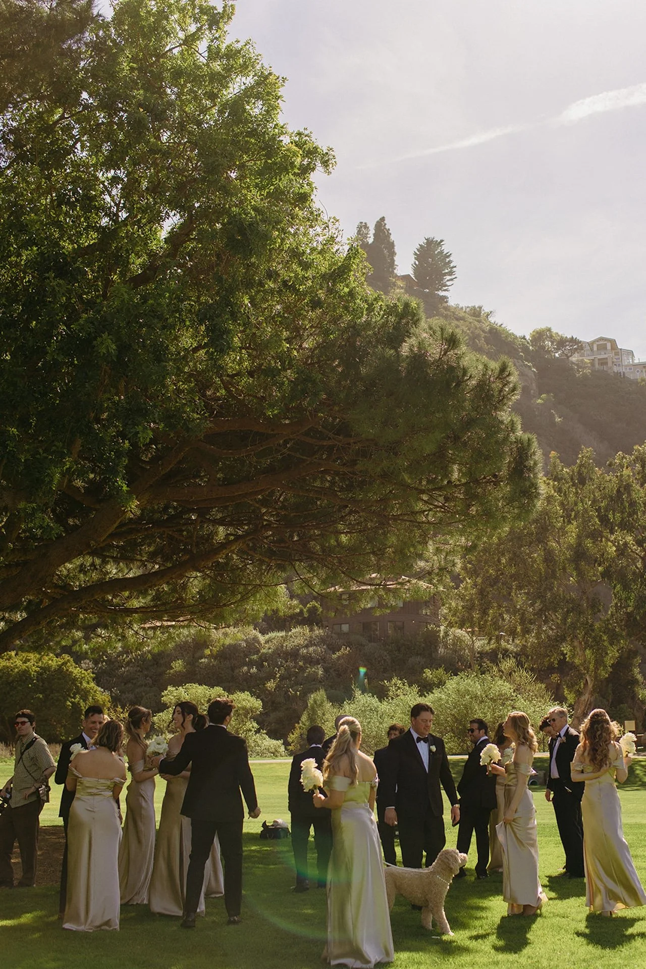 Wedding party gathered beneath towering trees on the golf course lawn at The Ranch at Laguna Beach wedding venue.