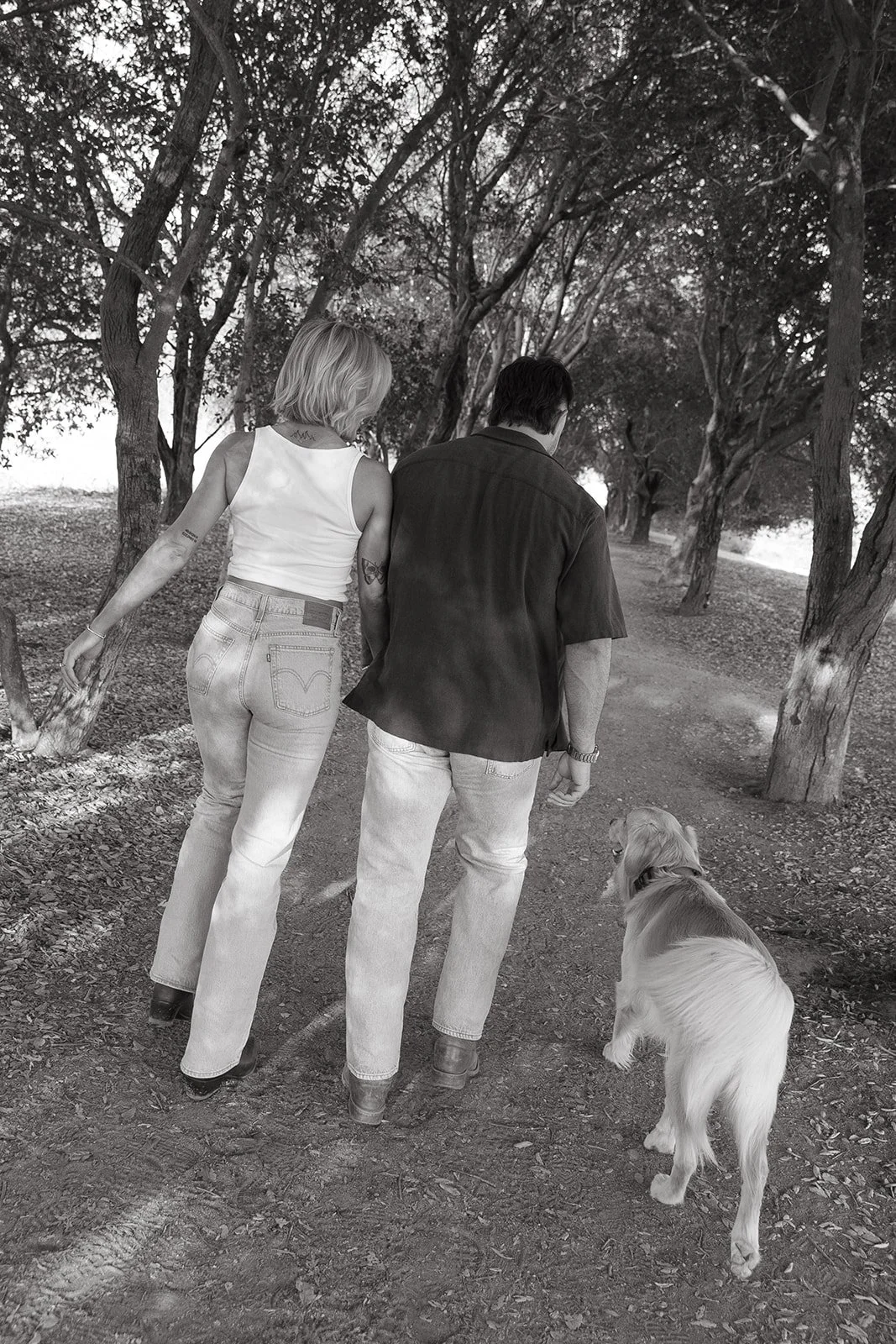 Black and white western engagement photos of a couple walking hand in hand with their dog along a tree-lined dirt path.