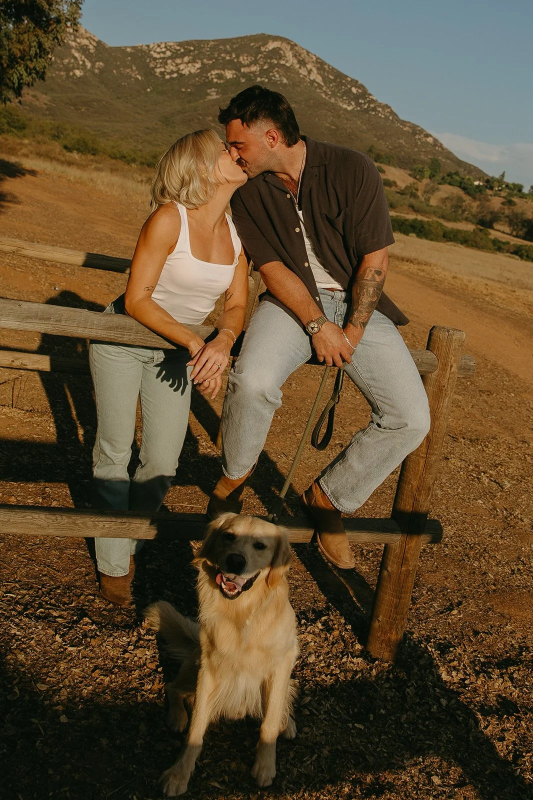 Couple sitting on a wooden fence sharing a kiss while their golden retriever sits happily below them in a mountain field.