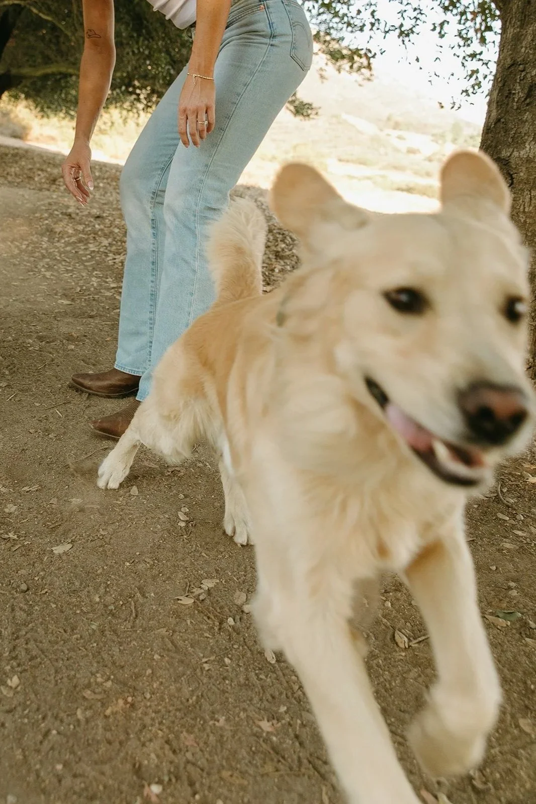 Playful candid moment of the couple bending down to greet their golden retriever on a shaded dirt trail.