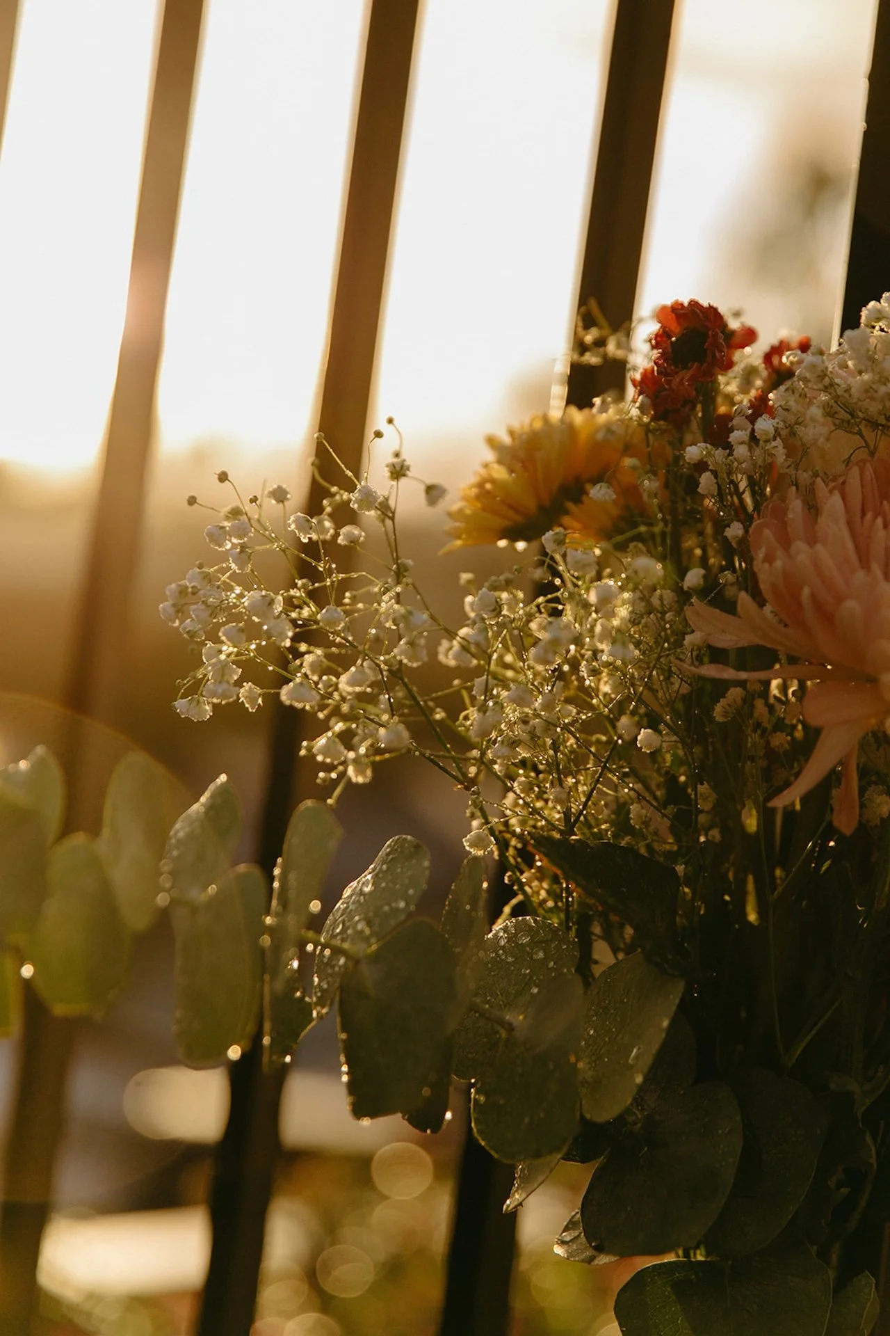 Close-up of colorful wedding flowers glowing in warm golden sunset light.