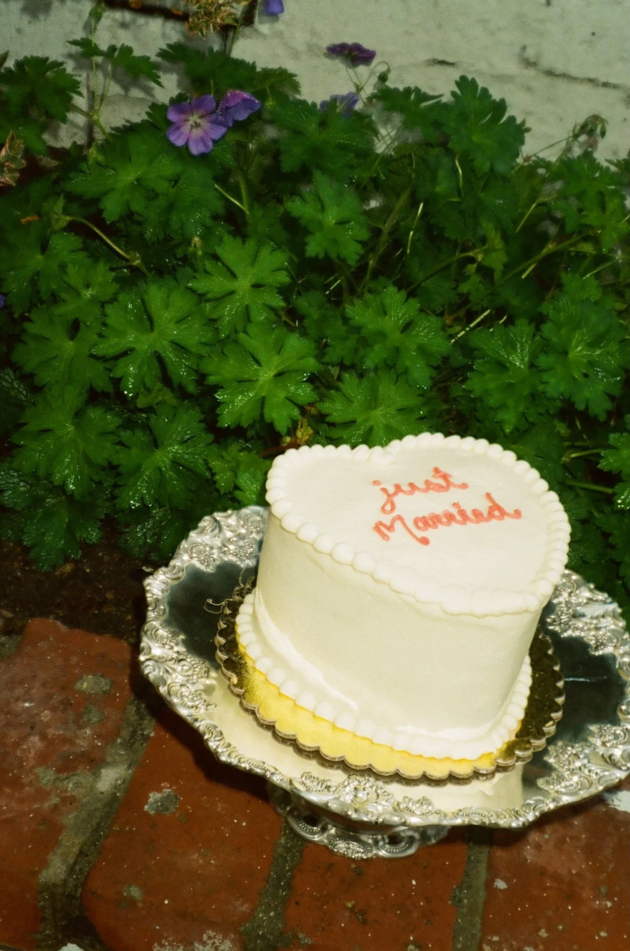 A detail film photo of a "just married" cake sitting on a metal platter on a brick wall with a bush behind it.