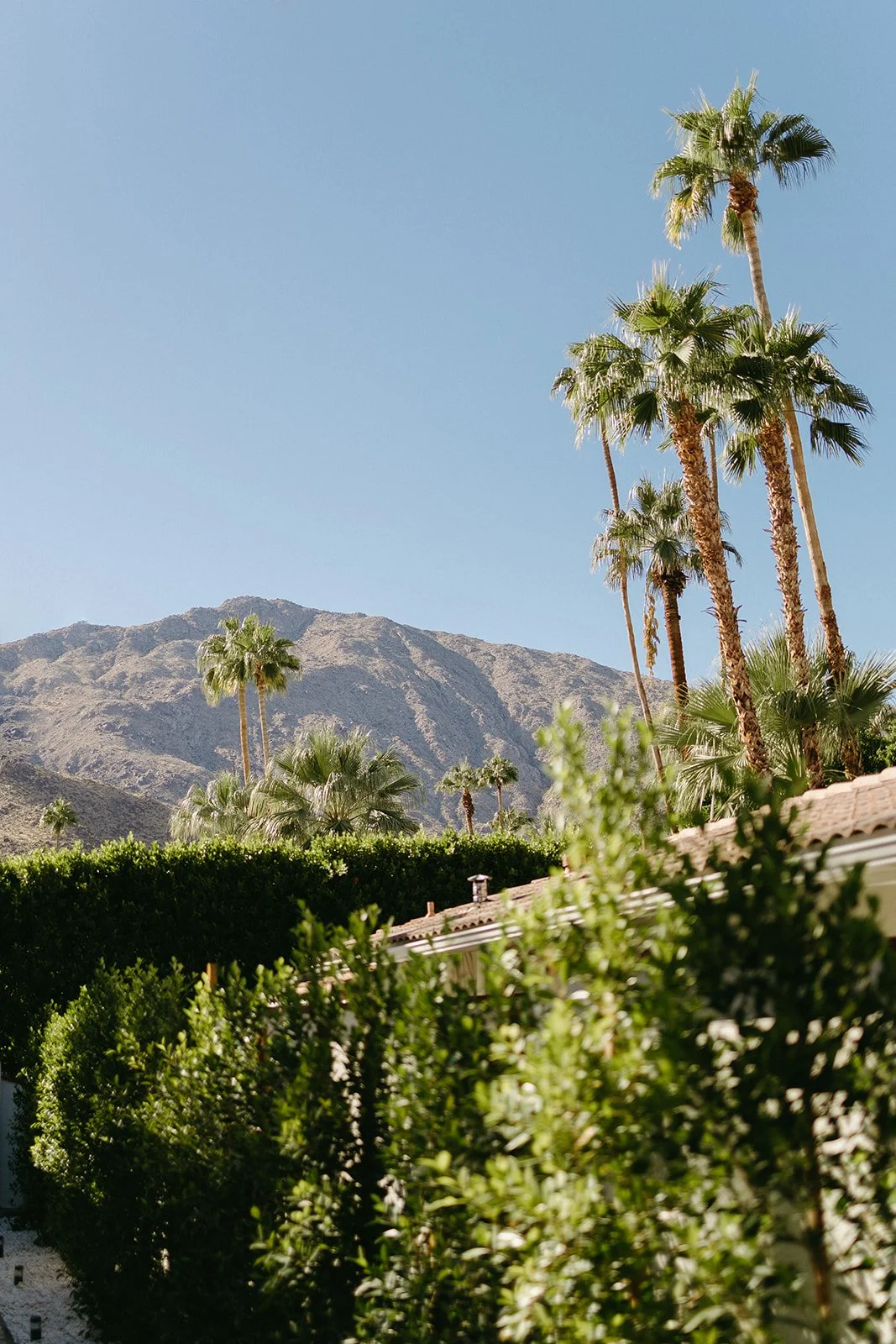 A mountain view from a Palm Springs wedding venue