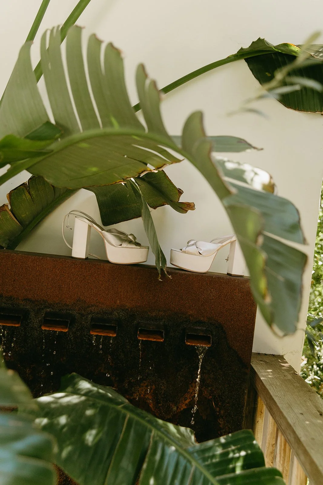 Wedding shoes in a detail photo beside a plant