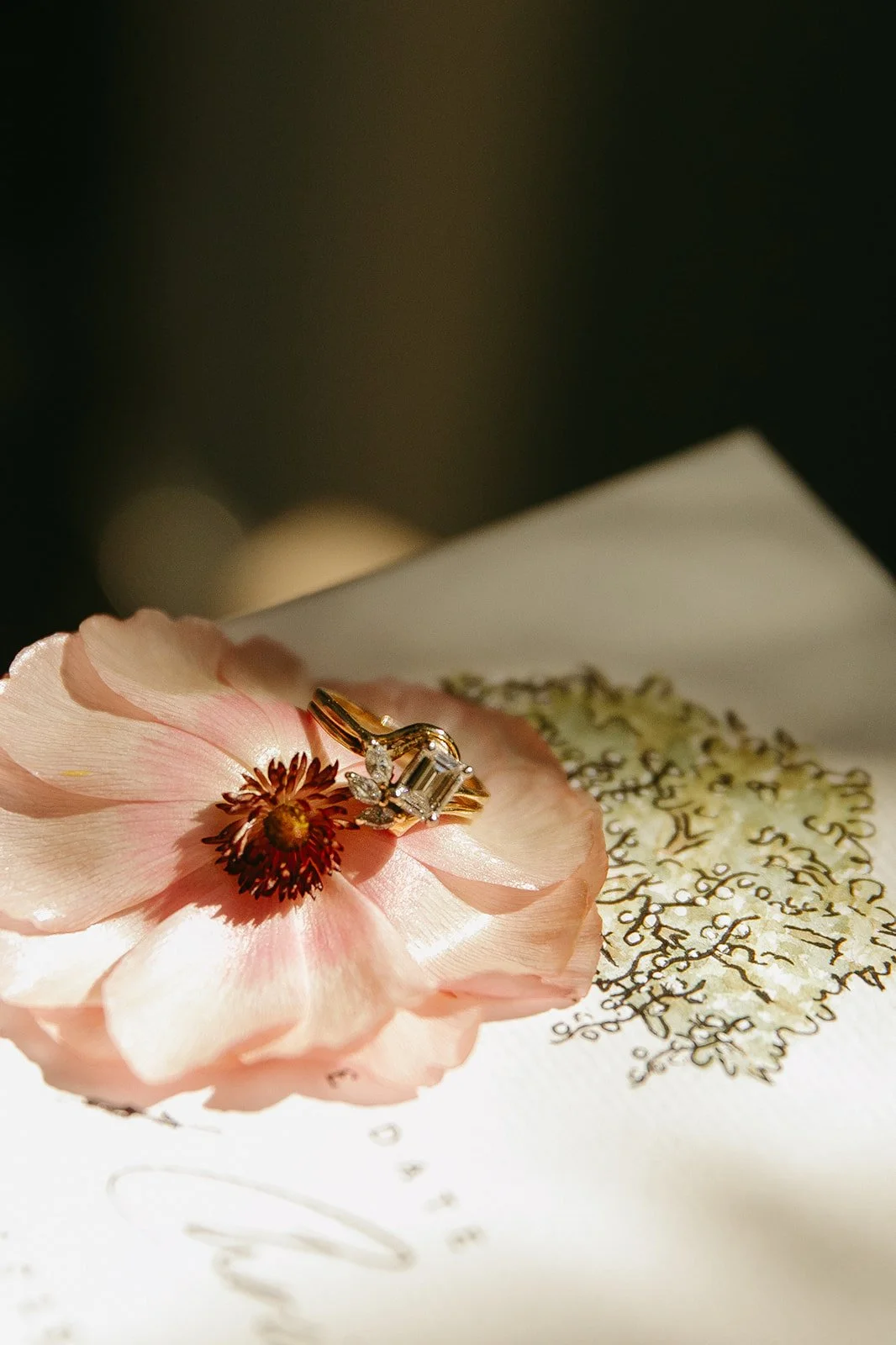 A photo of wedding rings on a flower