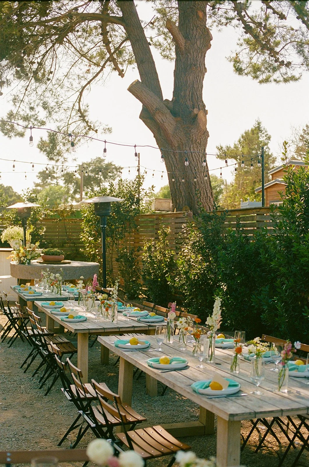 A wedding reception setup for summer, as small wedding ideas